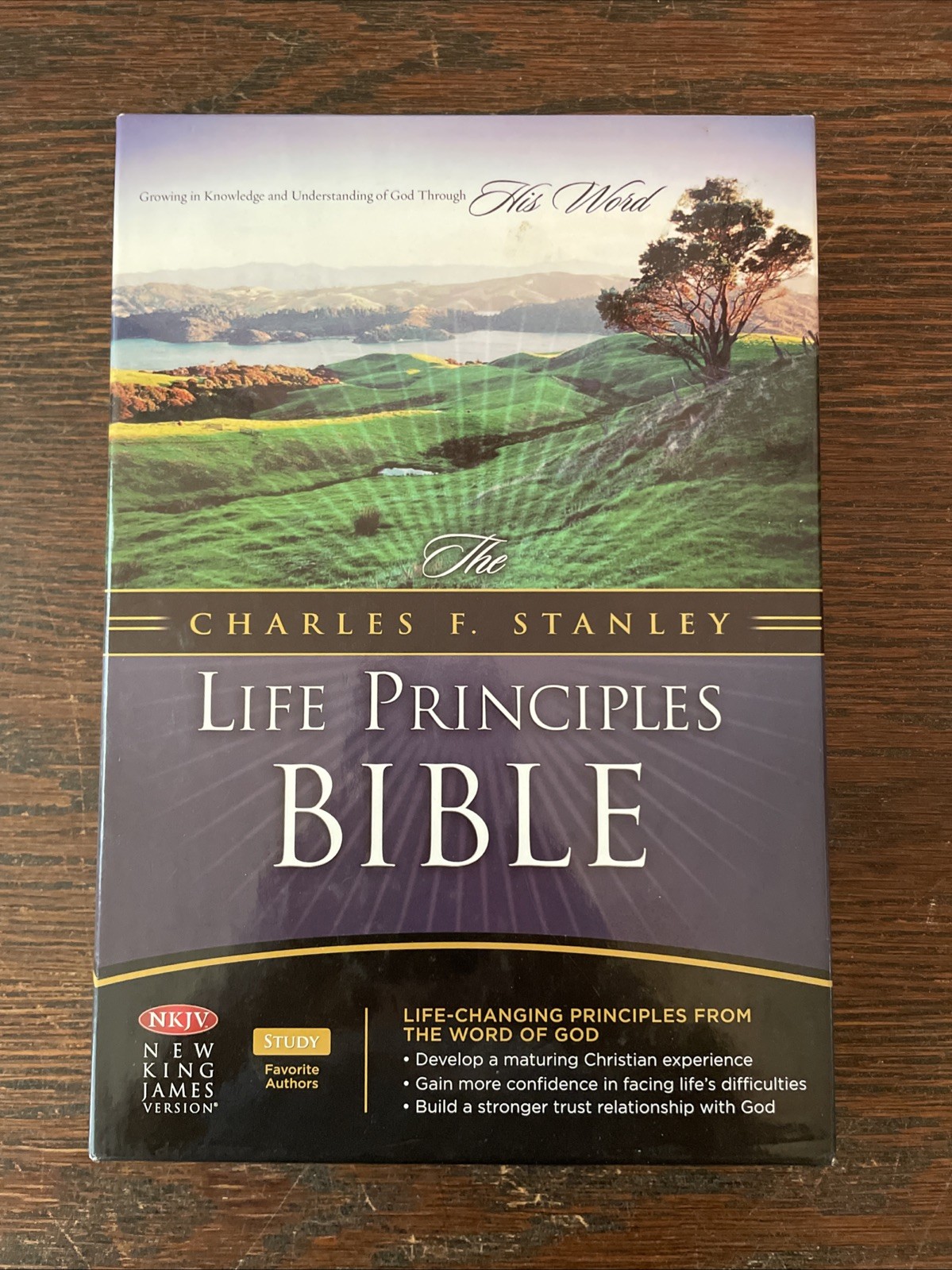 Charles F. Stanley Life Principles Bible NKJV Indexed Leather Burgundy 2005