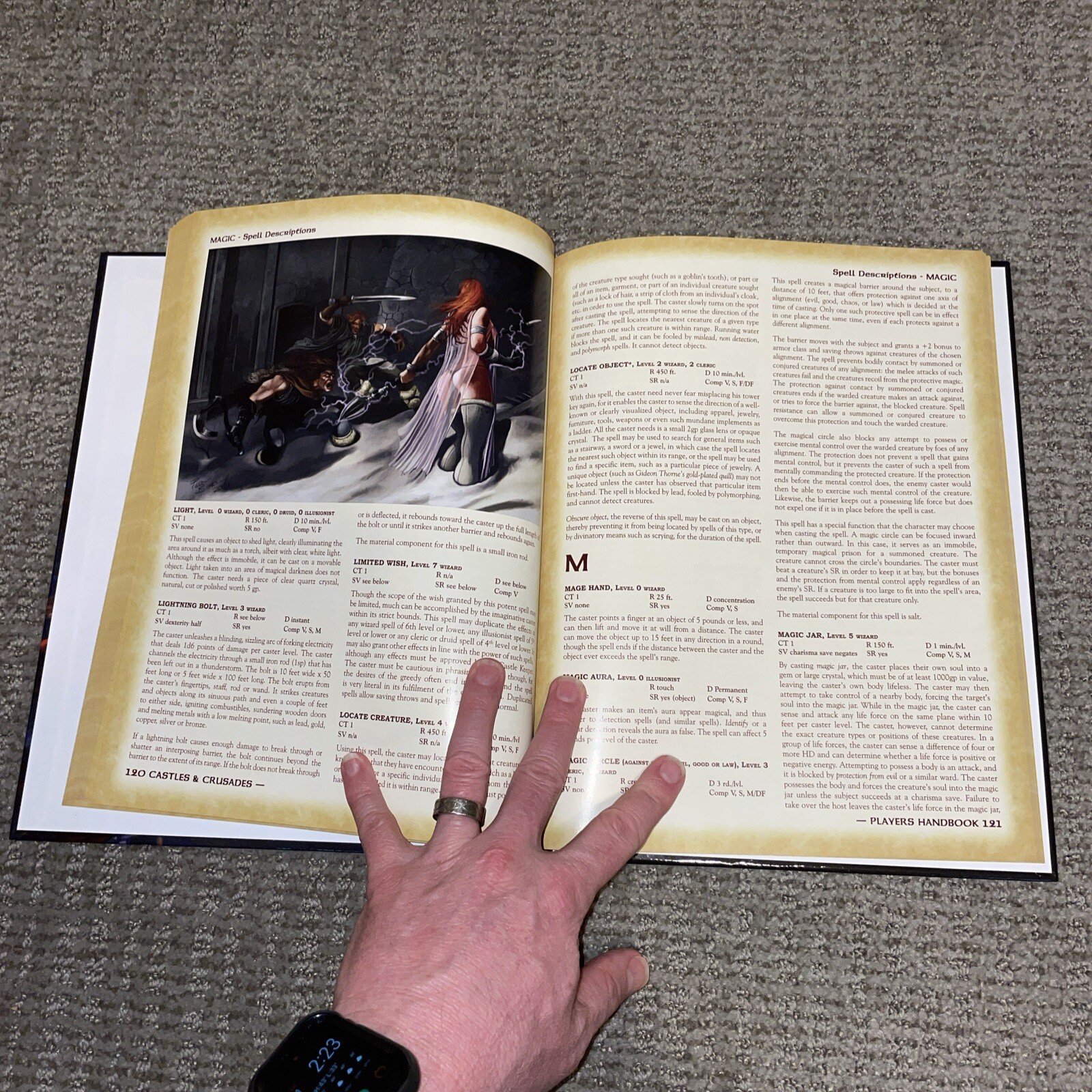 Castles & Crusades Players Handbook Hardcover – 2014 by Davis Chenault TLG80106