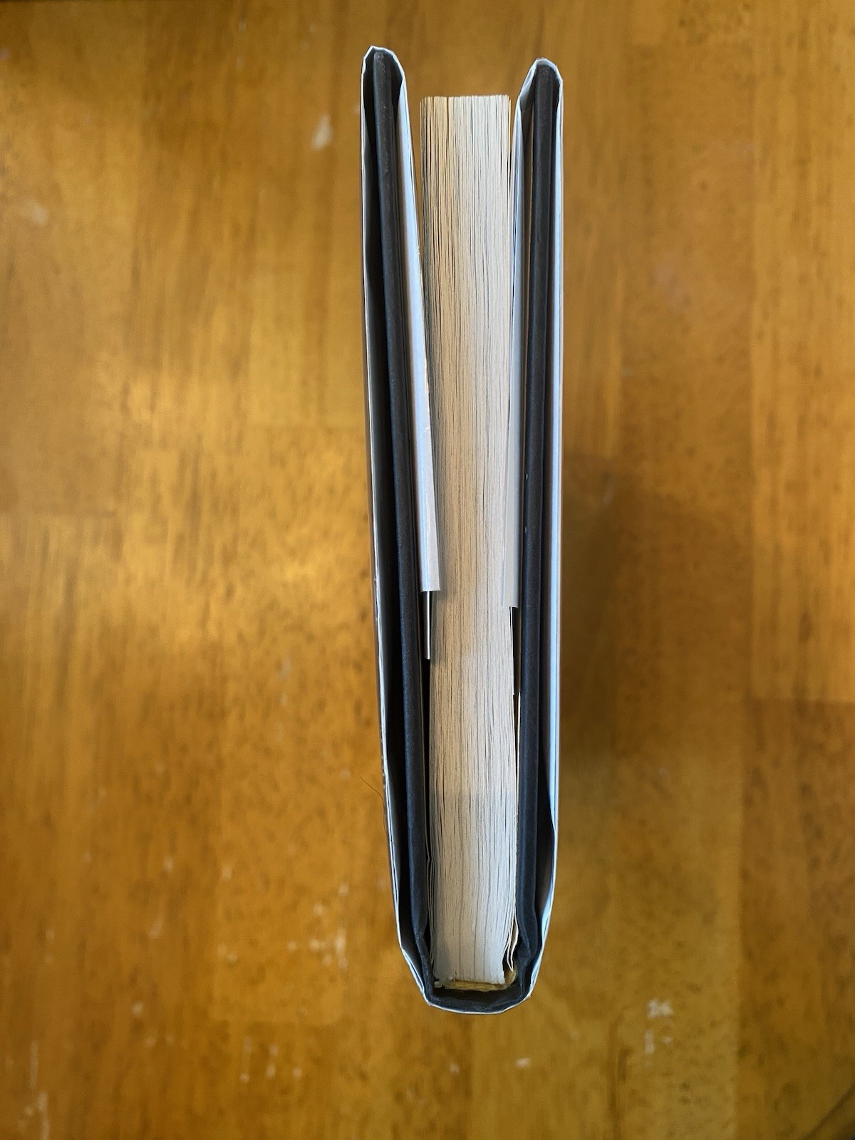 Untethered Sky By Fonda Lee SIGNED Hardcover 1st Edition, 1st Print