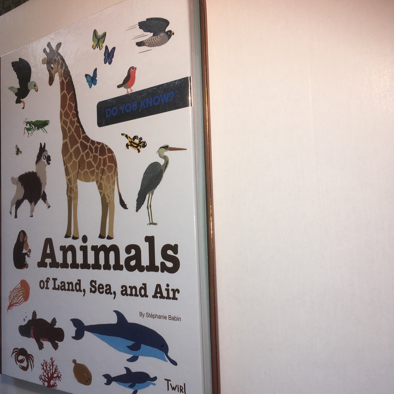 TW Do You Know Ser.: Do You Know?: Animals of Land, Sea, and Air by Stephanie…