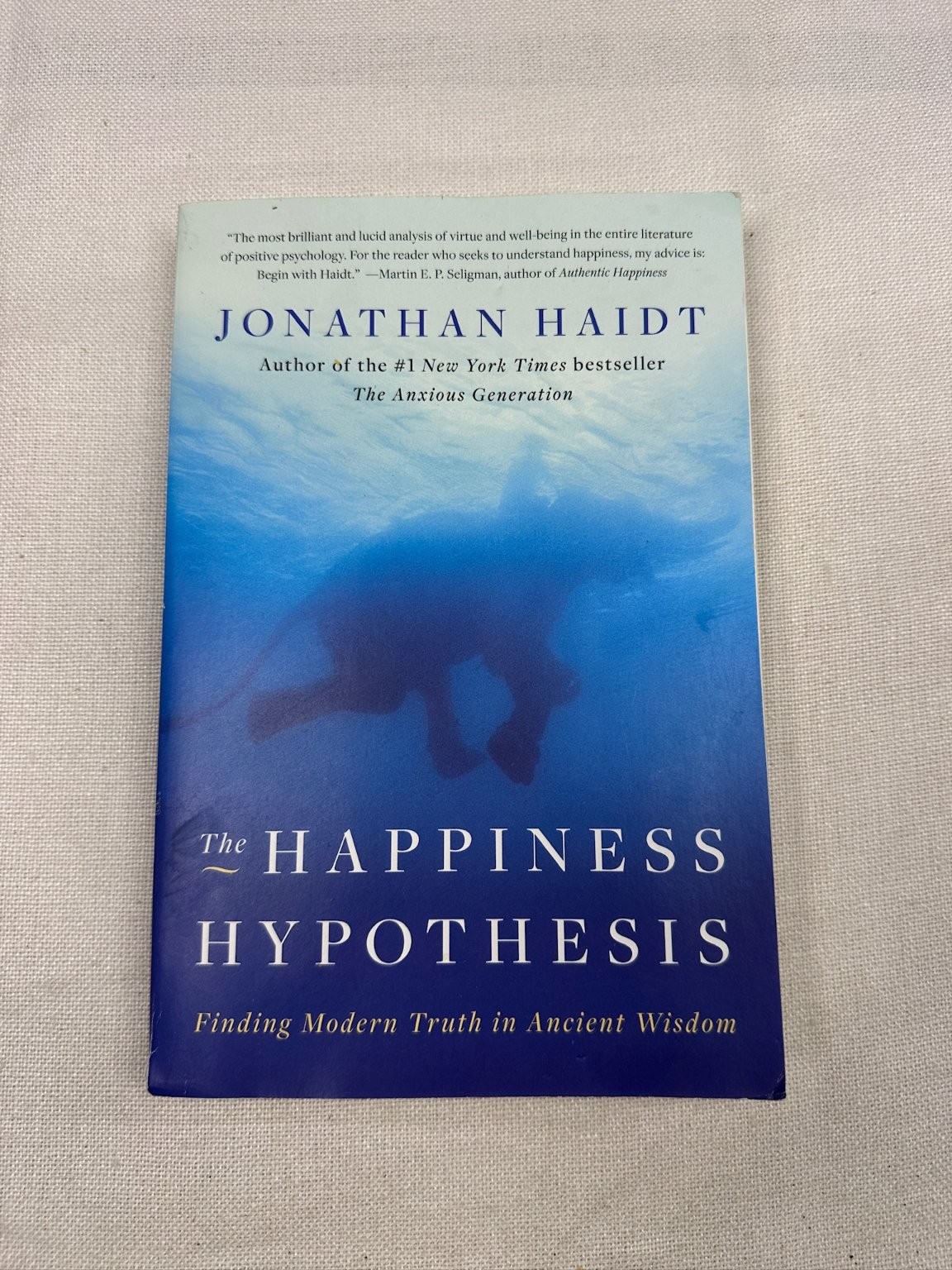 Happiness Hypothesis Jonathan Haidt 2006 Philosophy Psychology Basic Books