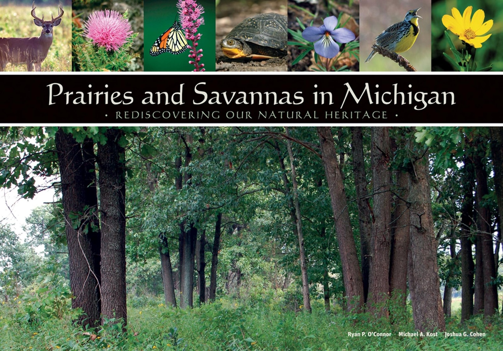 Prairies and Savannas in Michigan: Rediscovering Our Natural Heritage [Paperbac