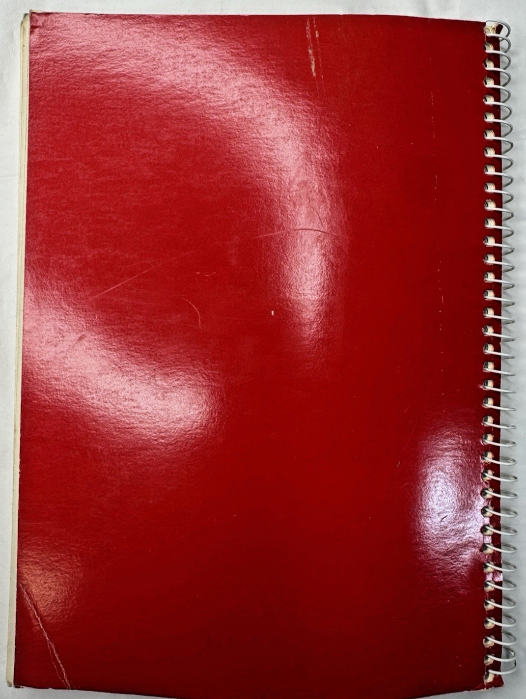 Vintage 1984 Oklahoma Future Homemakers of America Cookbook Ring Wire Bound