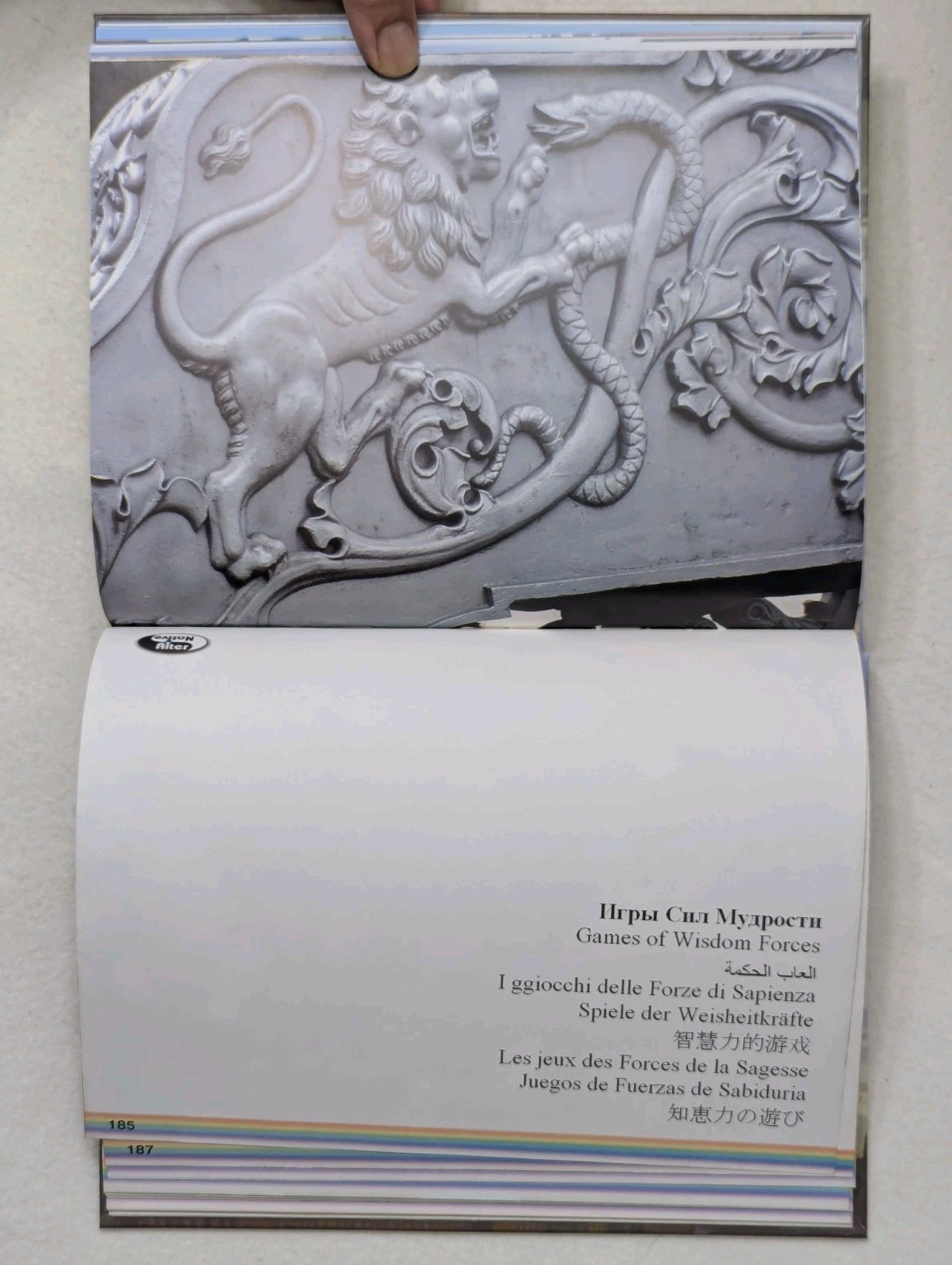 SPACE and the Shapes of the Kremlin / Kremlin Area Multilingual Hardcover