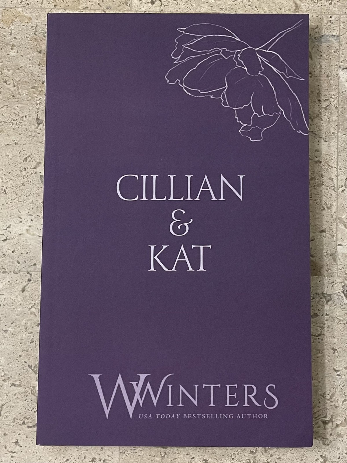 Cillian & Kat: Sexy as Sin (Discreet Series) Motorcycle Club