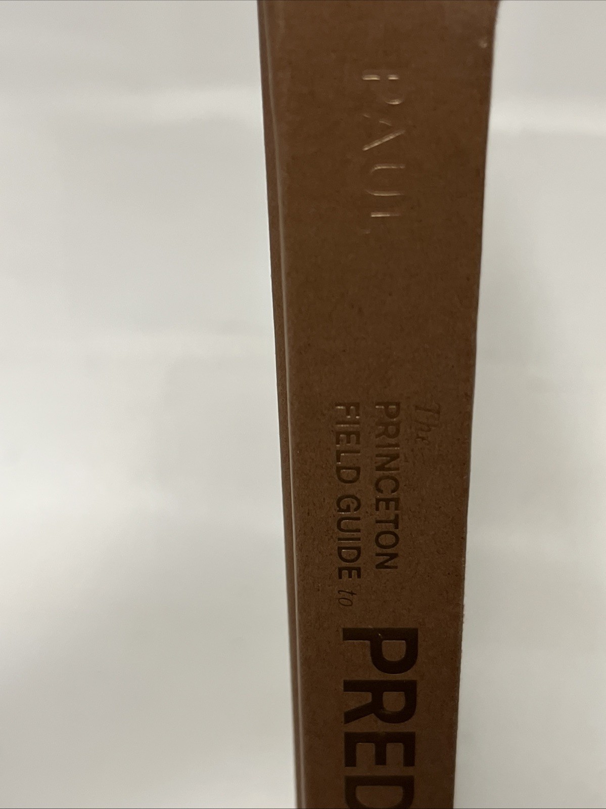 Princeton Field Guide to Predatory Dinosaurs Hardcover by Paul Gregory S