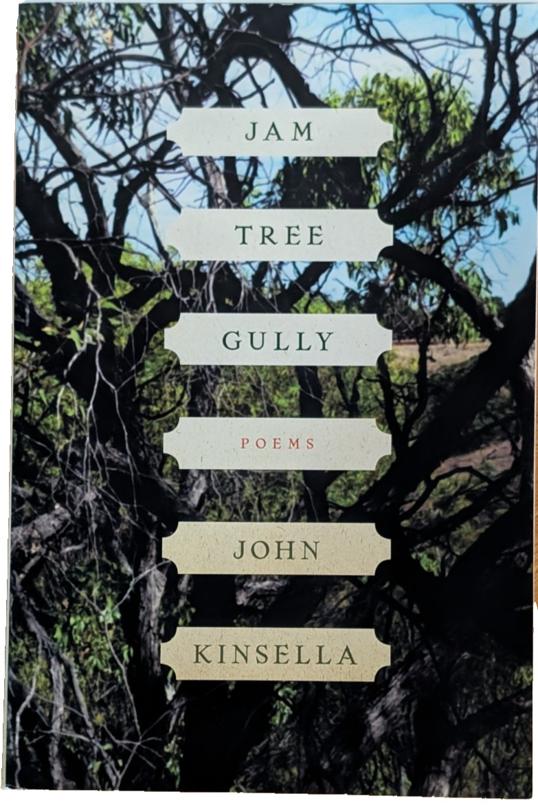 Lot of 6 Poetry Books, Nye, Kinsella, Seibles, Tucker, Gagnon, Haskins..lot 104