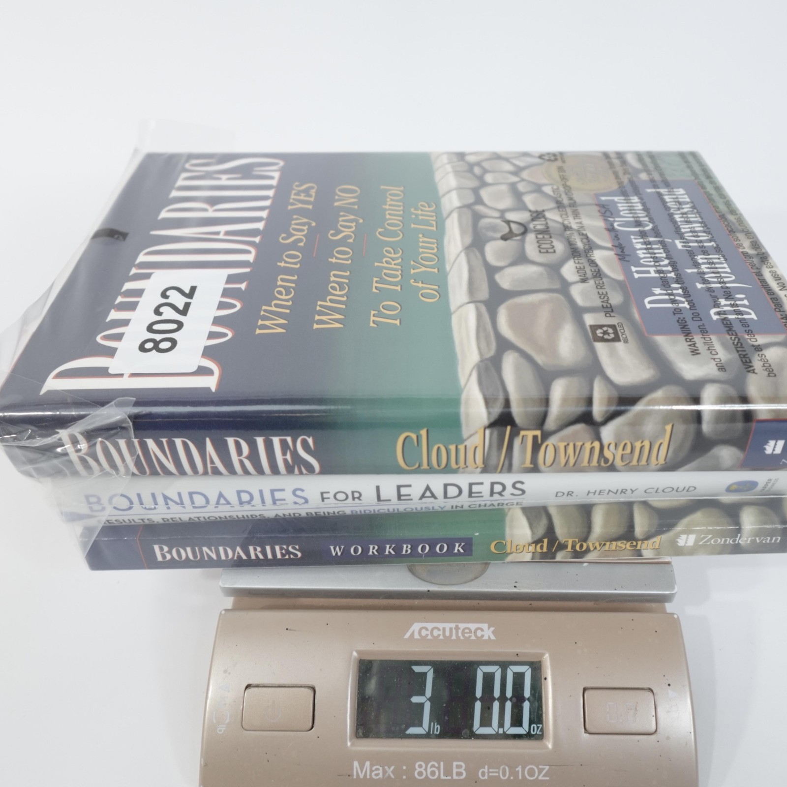 Boundaries Book Lot Cloud Townsend Workbook Leaders 3 Books