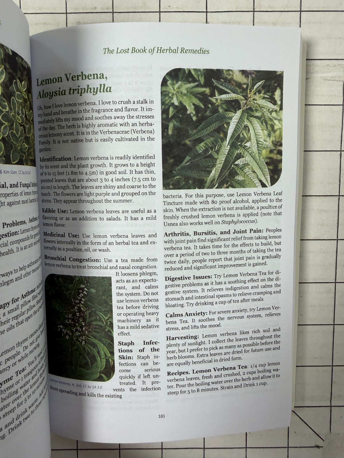 The Lost Book of Herbal Remedies by Nicole Apelian Ph.D. & Claude Davis 2020 TPB
