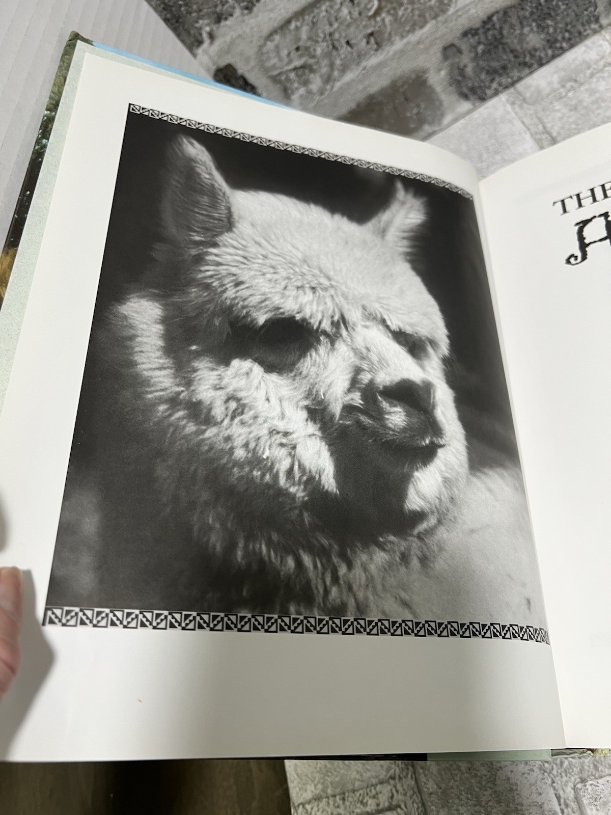 The Complete Alpaca Book: Behavior, Diet, Fiber, Genetics, 2003 (1st Ed)