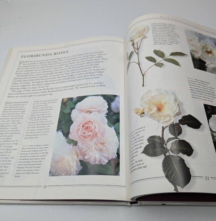 Practical Gardening Roses David Squire PB 1995 Complete Illustrated Plant Guide