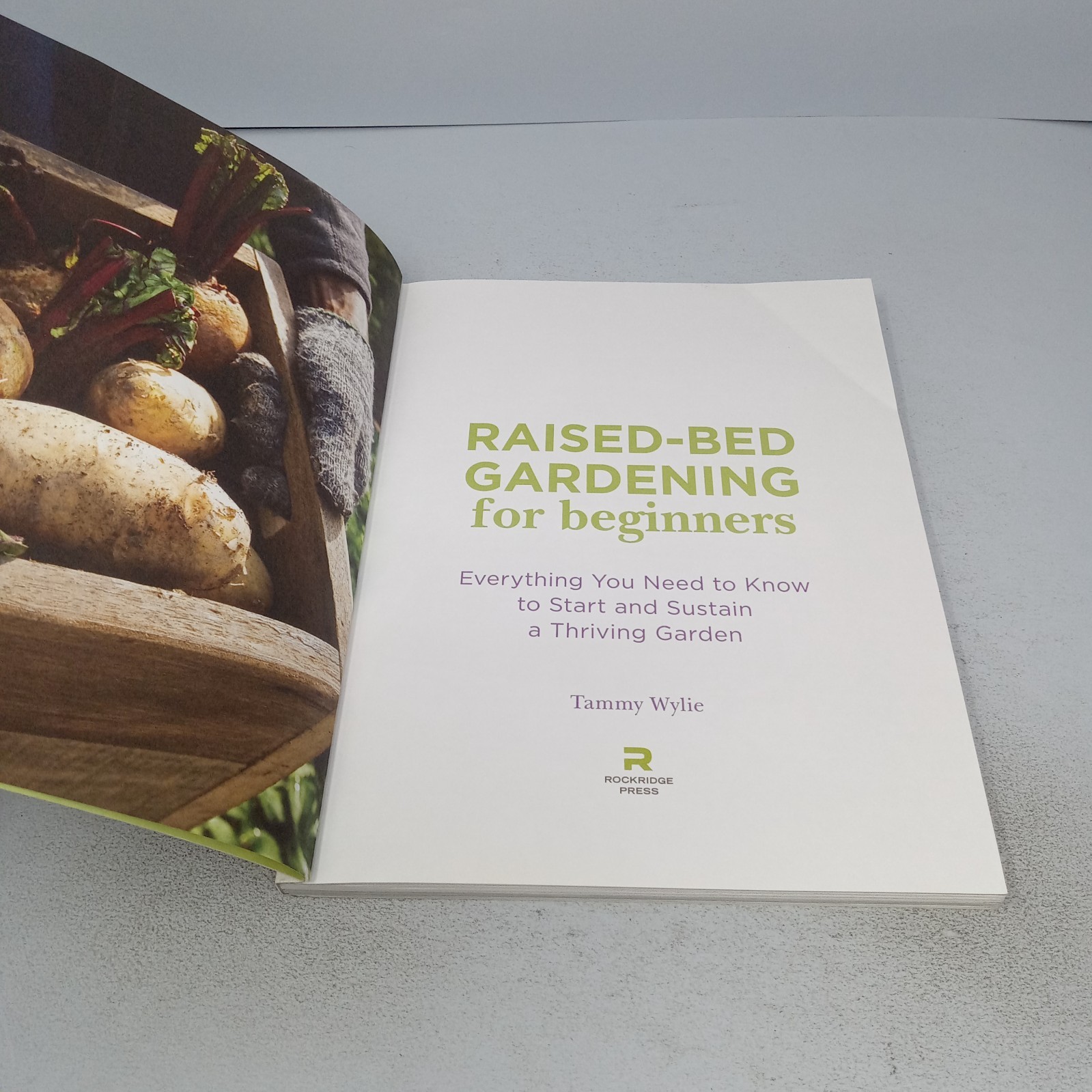 Raised-Bed Gardening for Beginners 2019 Rockridge Press Paperback by Tammy Wylie