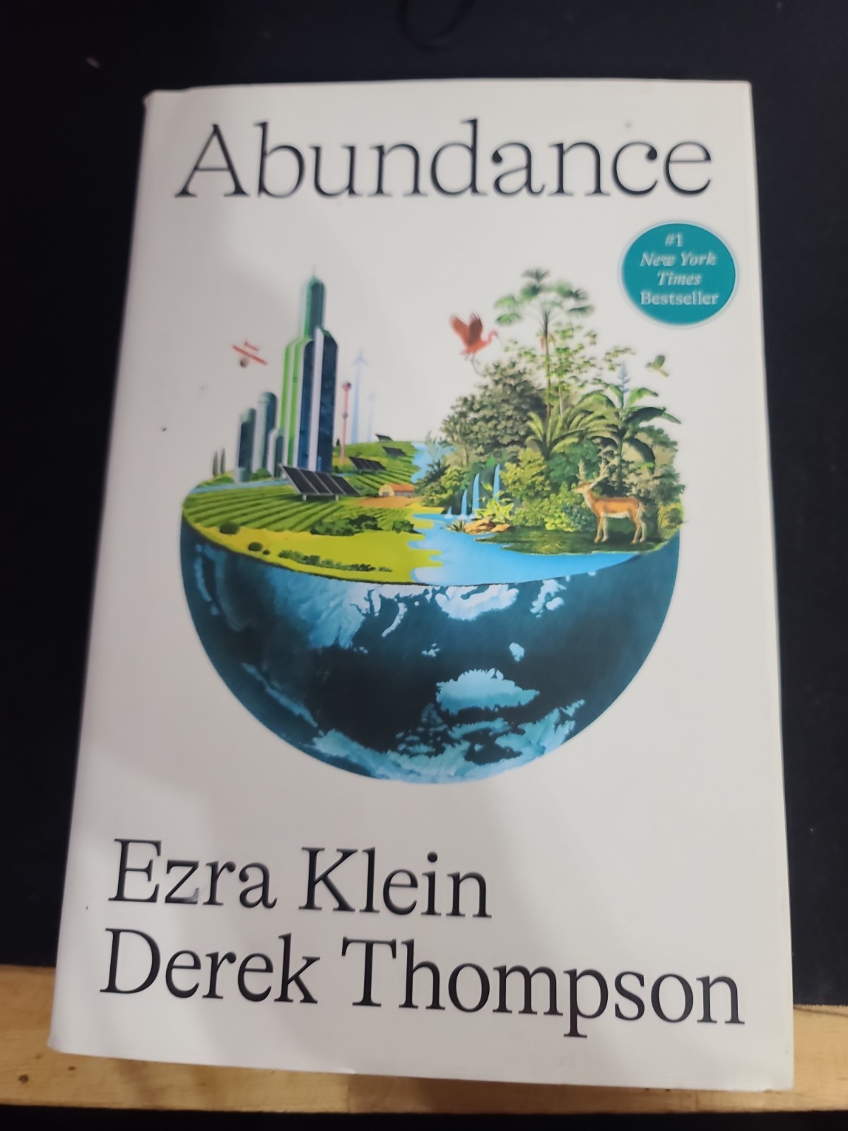 Abundance by Ezra Klein and Derek Thompson (2025, Hardcover)