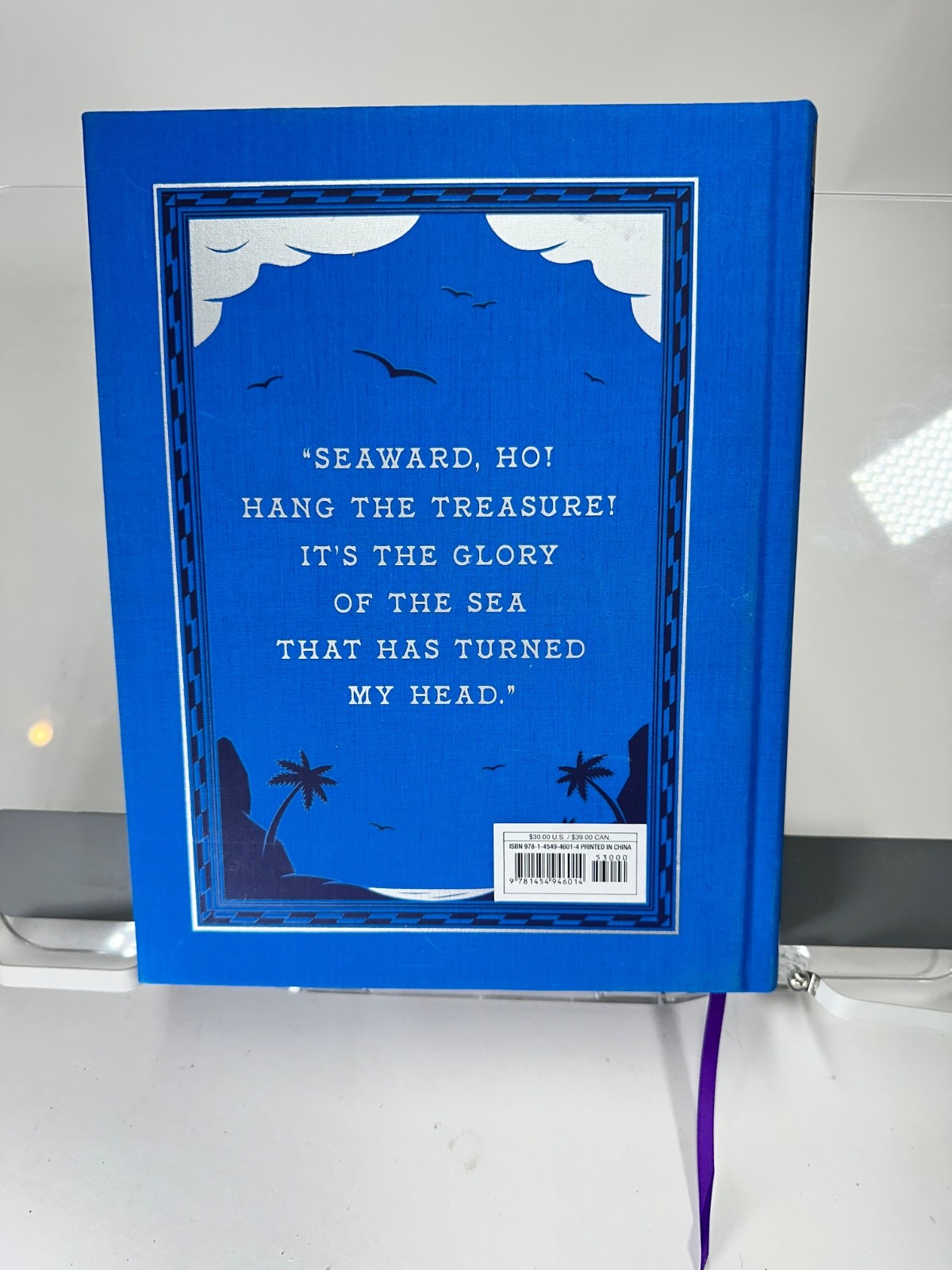 Treasure Island Robert Louis Stevenson Deluxe HC 2022 Union Square Kids Illust.