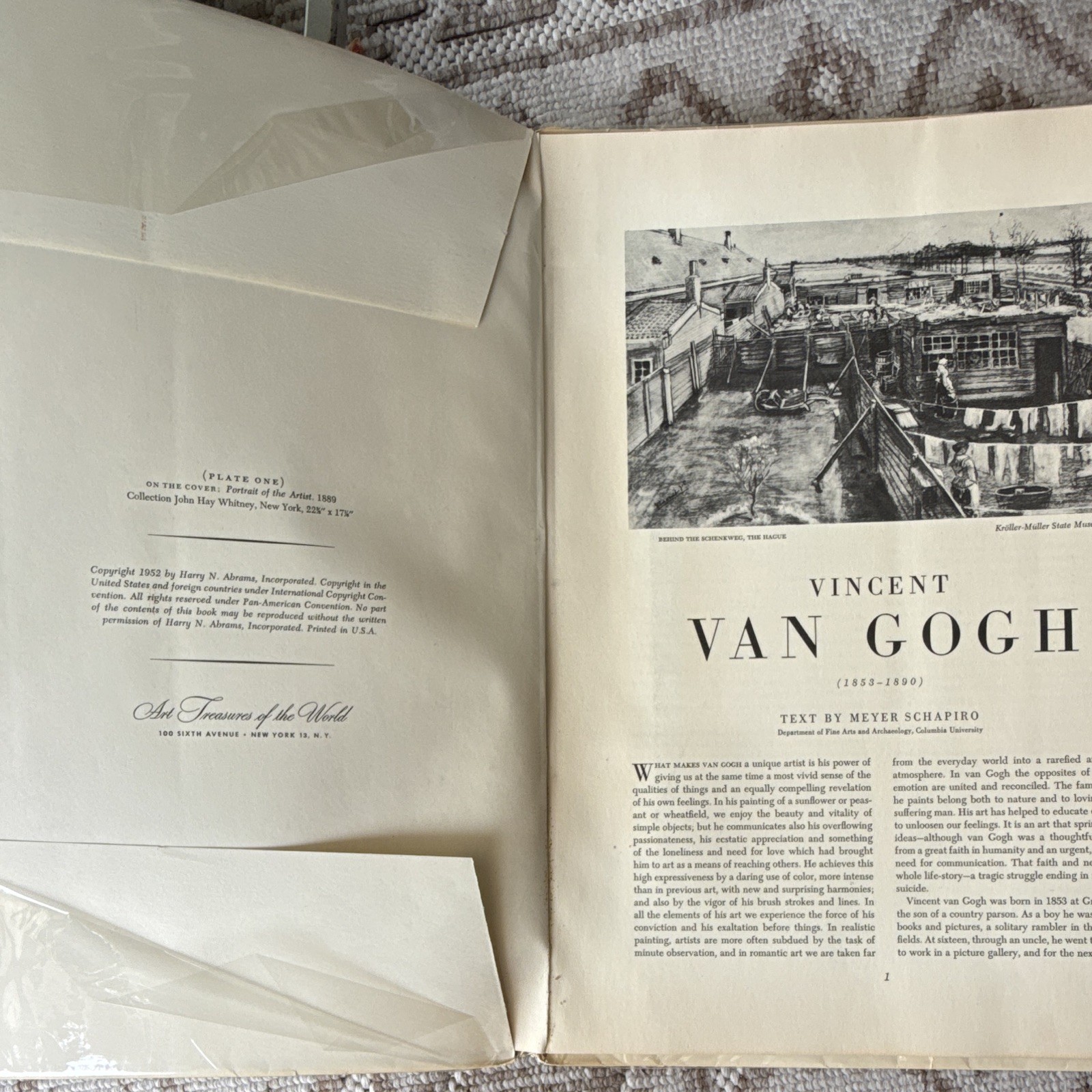 Van Gogh Meyer Schapiro Harry N. Abrams 1952 Art Treasures HC Illustrated