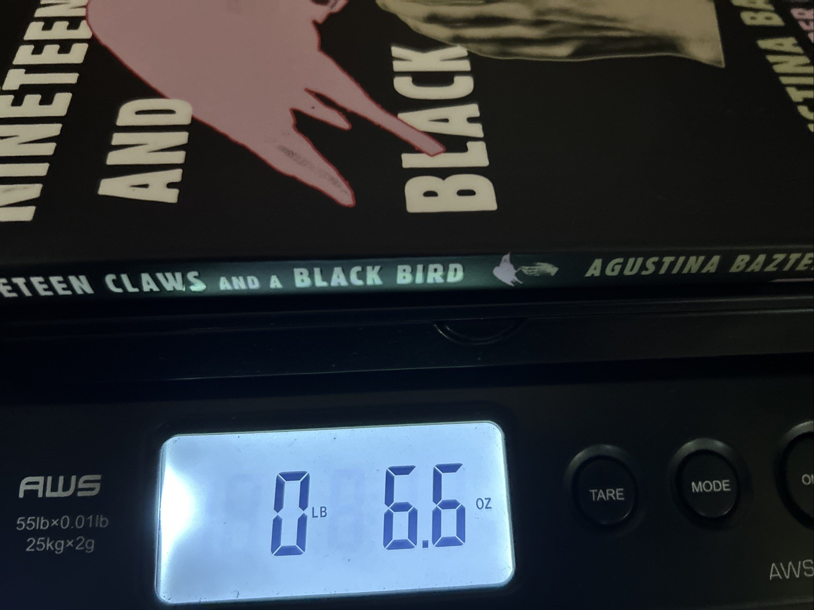 Nineteen Claws and a Black Bird : Stories by Agustina Bazterrica (2023, Trade…