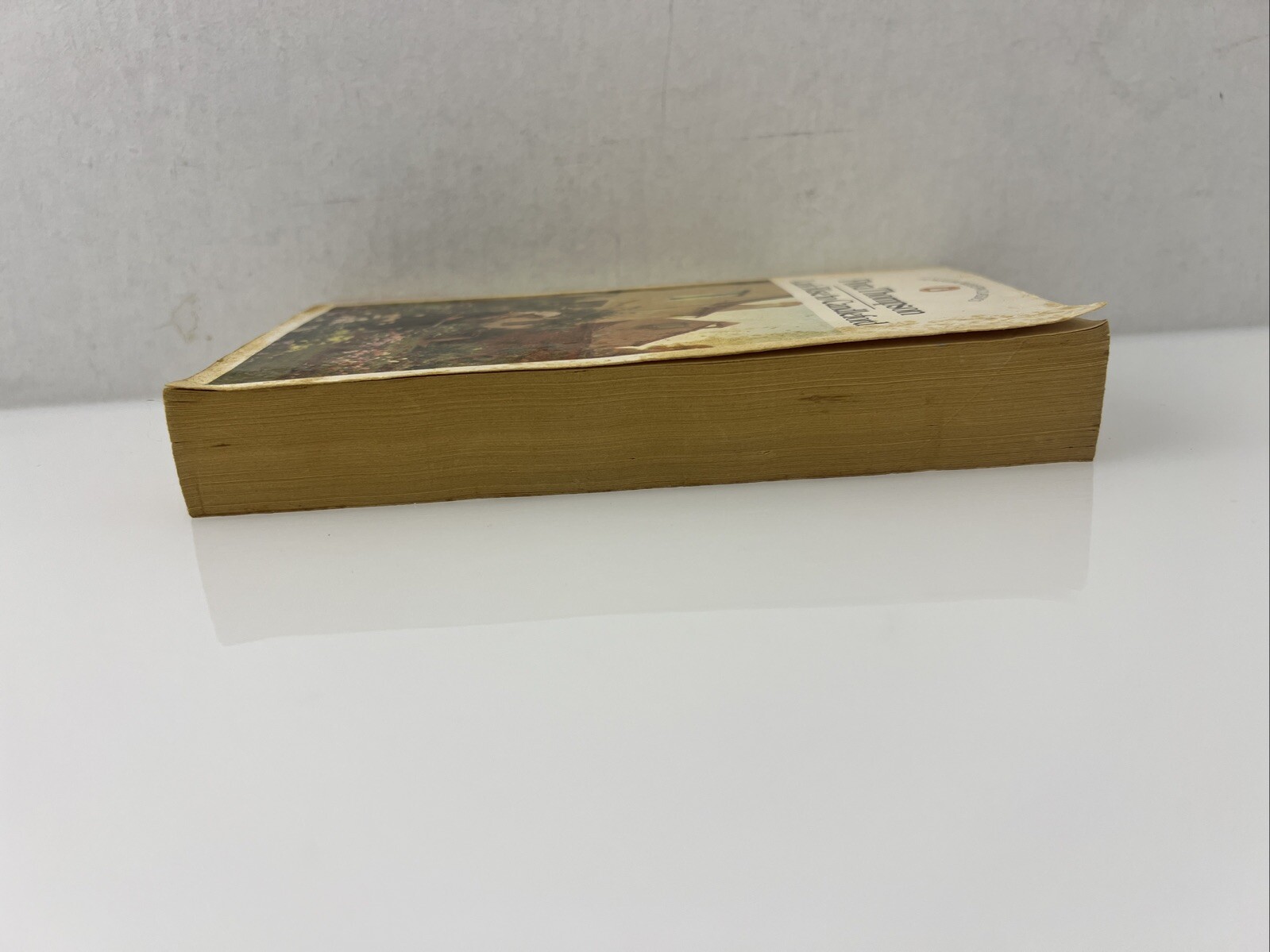 Lark Rise to Candleford (Modern Classics) By Flora Thompson. 1984 Paperback. ￼