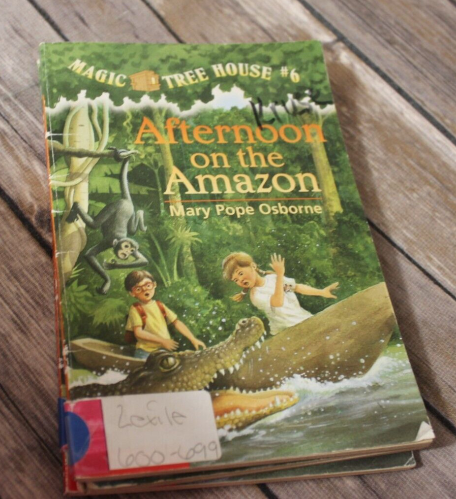 Magic Tree House Kids Books Create Your Own Set Paperback Chapter Books #2-#28