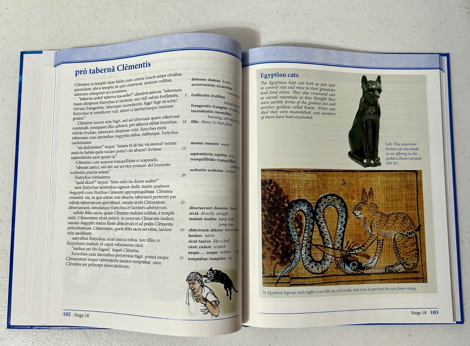 North American Cambridge Latin Course Unit 2 Student’s Book – Hardcover – GOOD
