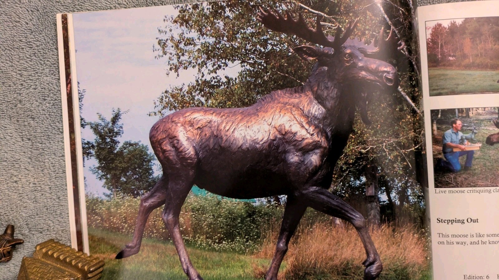 Forest Hart, WILDLIFE IN BRONZE, 204, PB, Art, Sculpture, Animals, 111 Pages