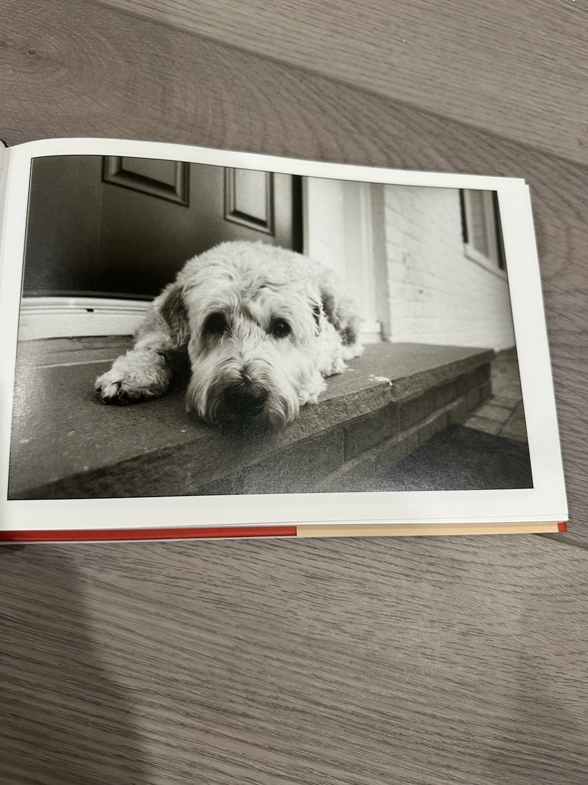 Dogma: A Way of LifeKim Levin, John O’Neill & Erica SalmonHardcover