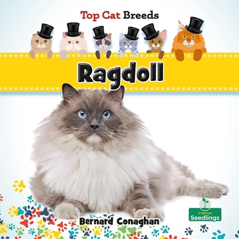 Ragdoll by Bernard Conaghan Hardcover Book