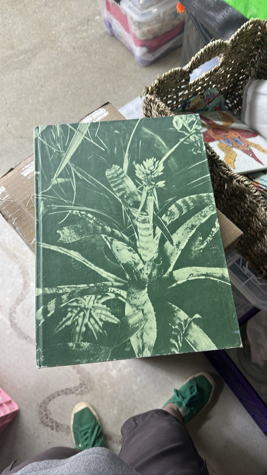 World Encyclopedia Of Indoor Plants & Flowers Joanna Kelly 1977 HC