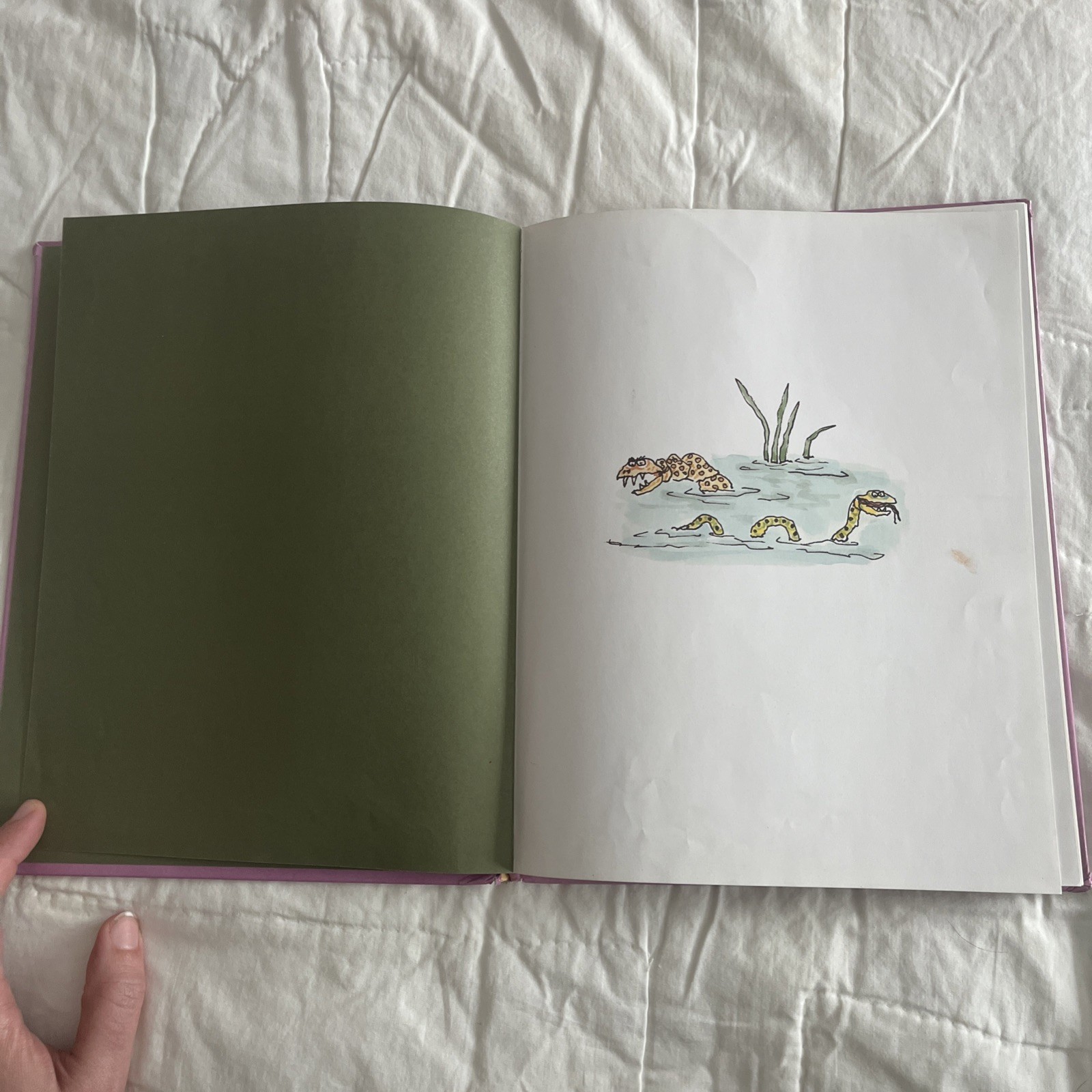 Vtg SHREK First Edition Book 90’ William Steig Farrar Straus Giroux NY Nostalgia
