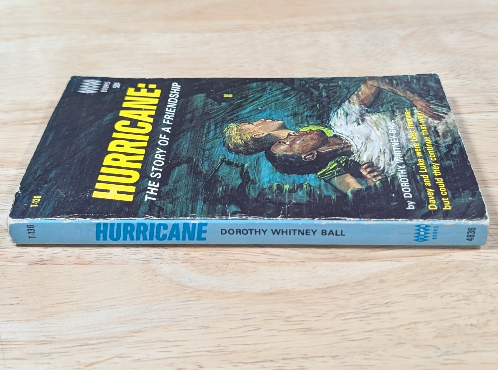Hurricane the Story of a Friendship By Dorothy Whitney Ball Tempo First Printing