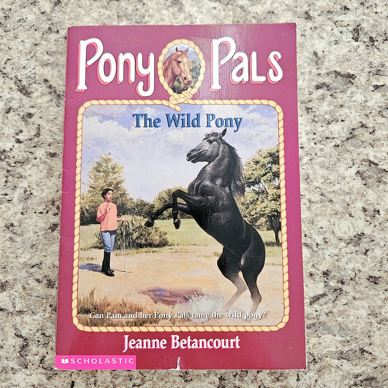 Lot of 3 PONY PALS Chapter Books by Jeanne Betancourt – Scholastic RL3 – HORSES