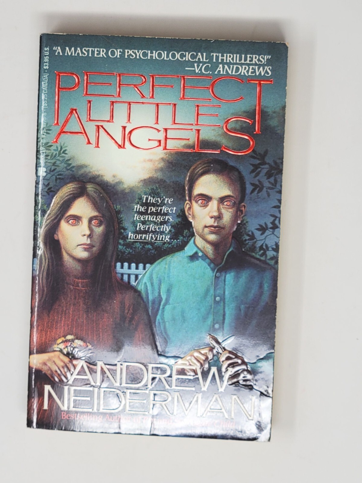 ANDREW NEIDERMAN 1ST EDITION – Perfect Little Angel 1989 (Paperbacks From Hell)