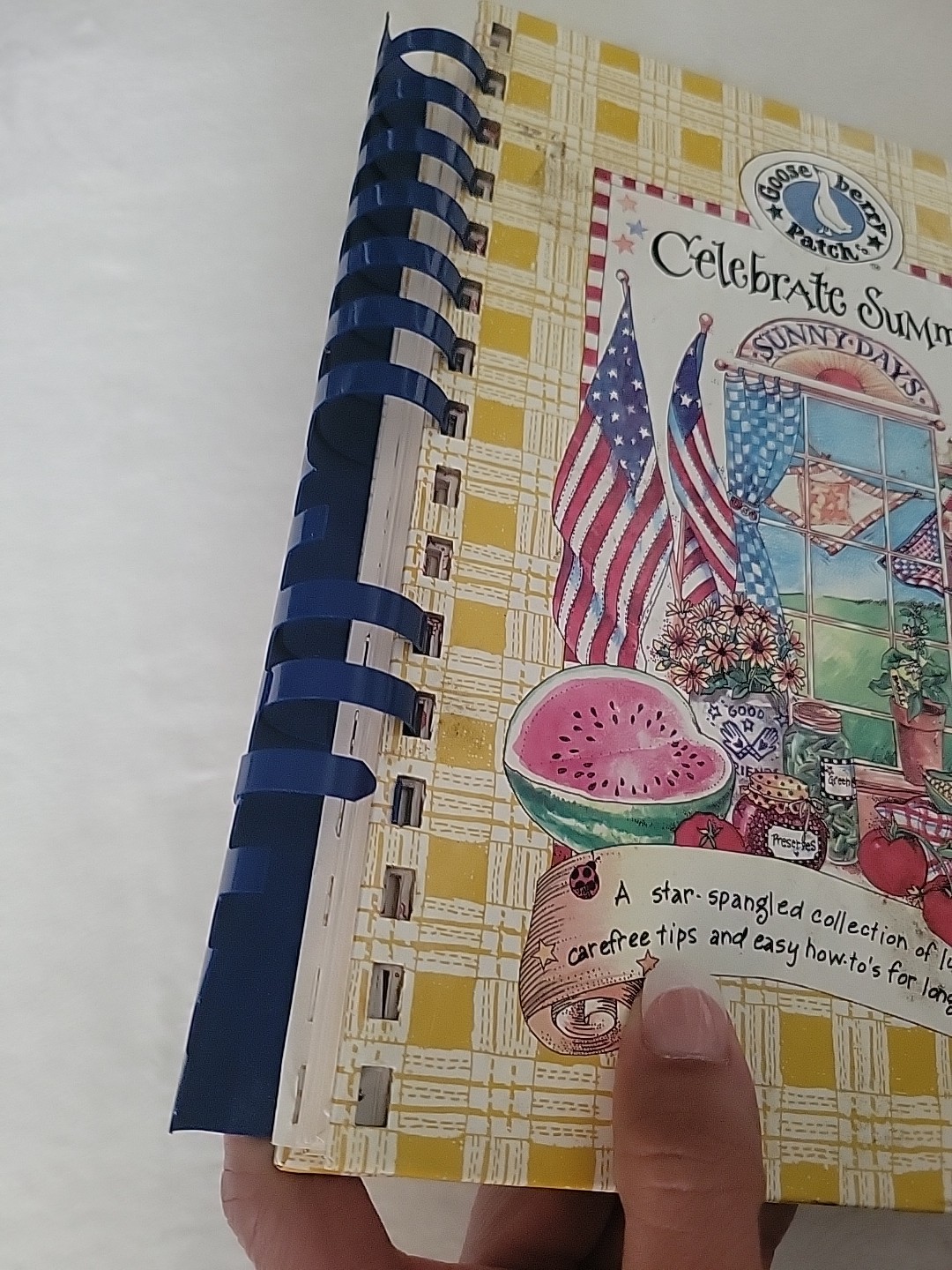 Vintage Gooseberry Patch 1997 Celebrate Summer Sunny Days Recipes & Tip Cookbook