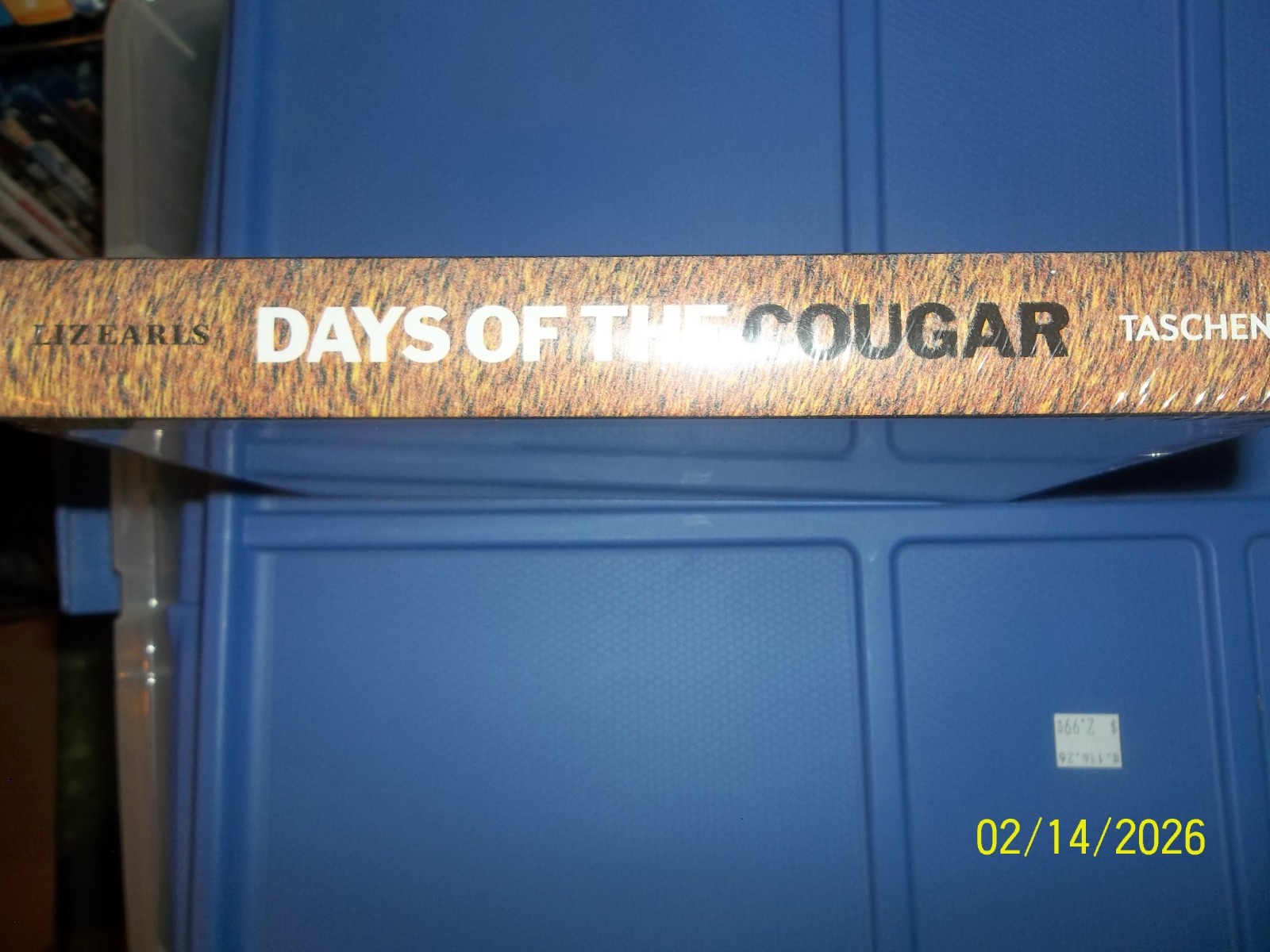 DAYS OF THE COUGAR~2011 NEW HARDCOVER PICTURE BOOK~by LIZ EARLS & DIAN HANSON