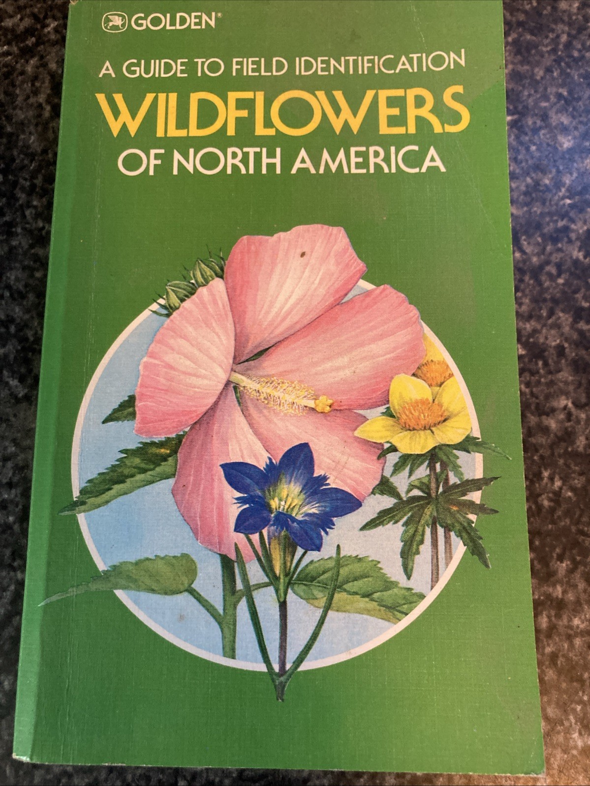 Vintage Golden Field Guide Wildflowers of North America Hibiscus cover 1984