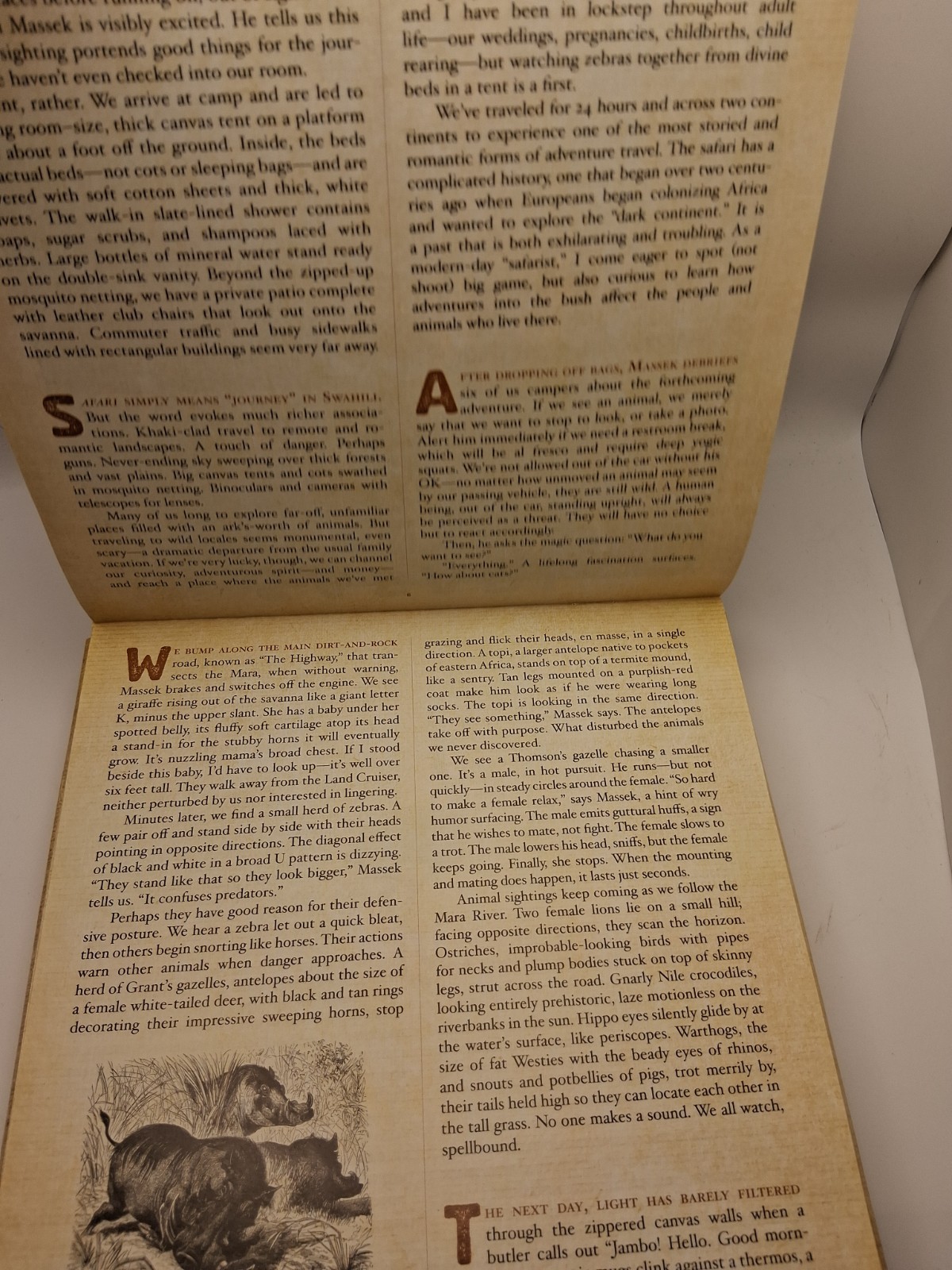 Safari: A Photicular Book