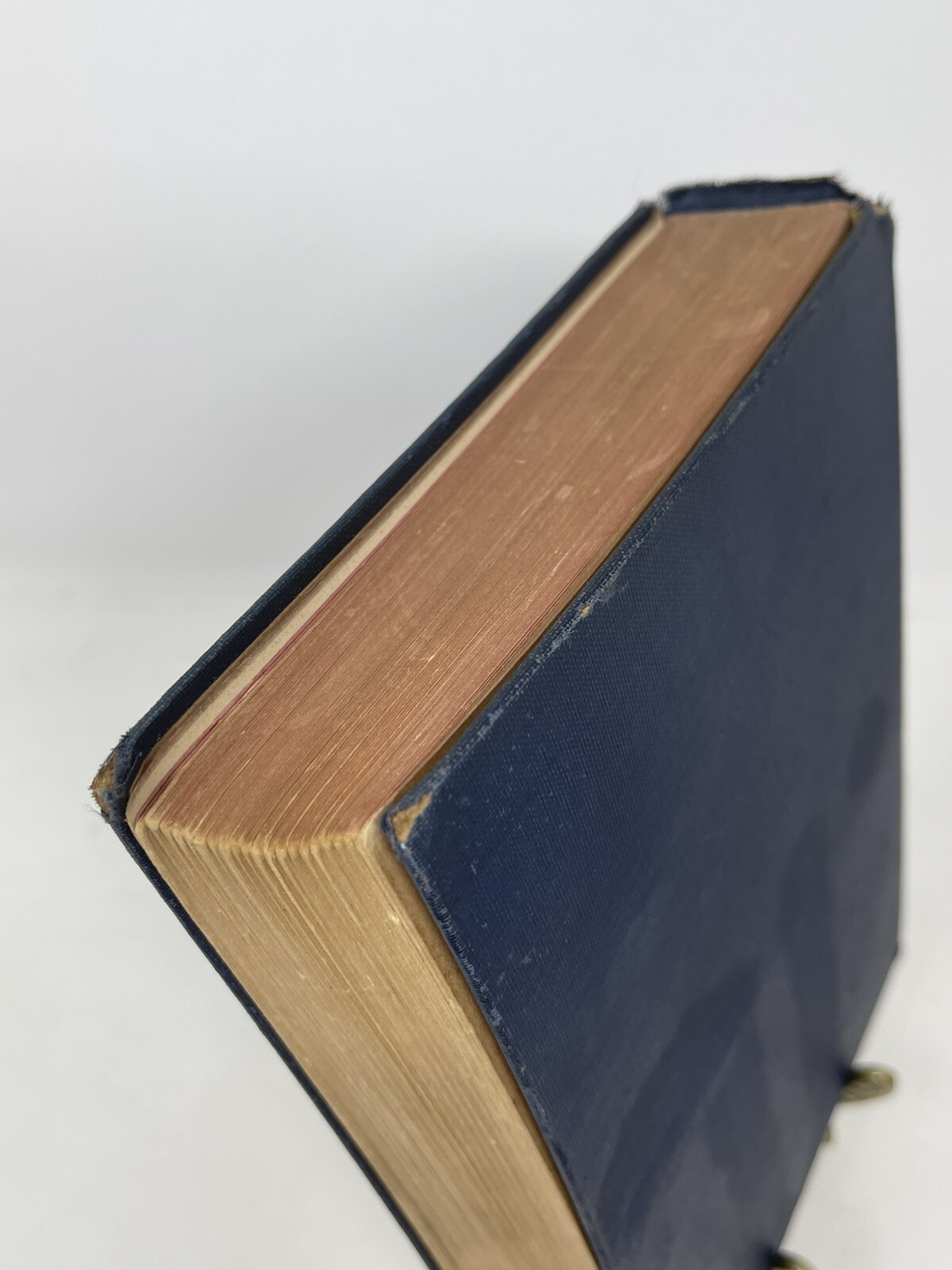 I Was Hitler’s Prisoner A Diary By Stefan Lorant Hardcover Putnam 1935