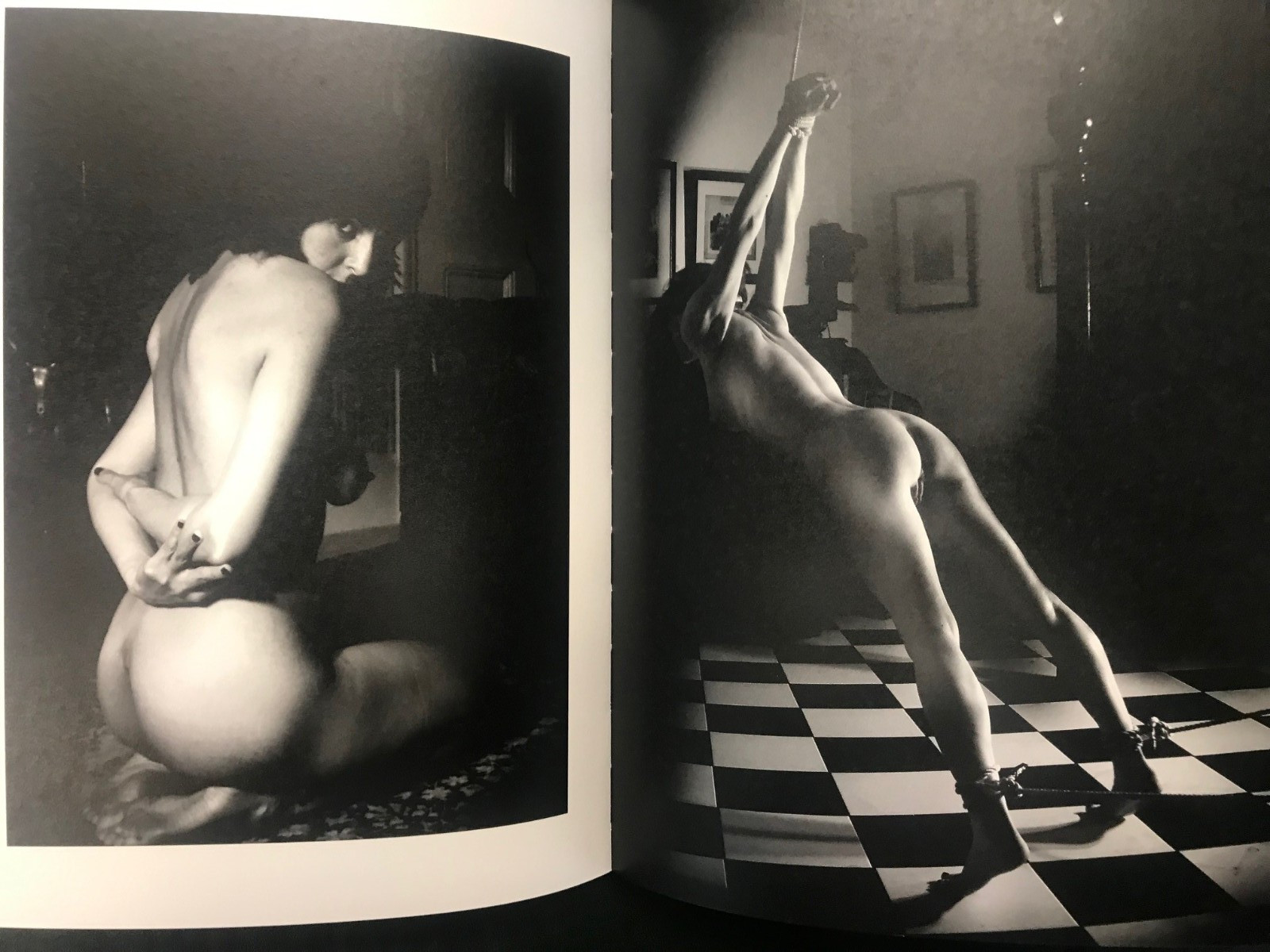 Erotic Domination von China Hamilton, BDSM, Edition Reuss HC 2017, NEU + OVP