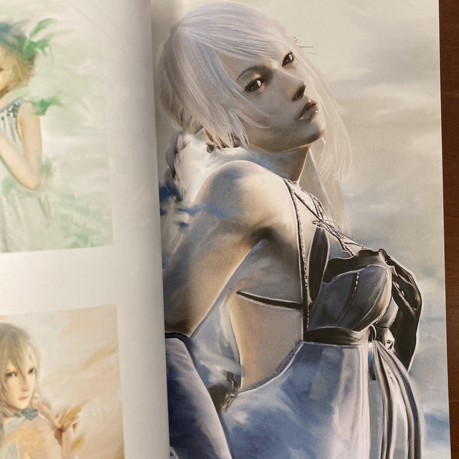 Grimoire NieR Guide Book Art Book Illustration