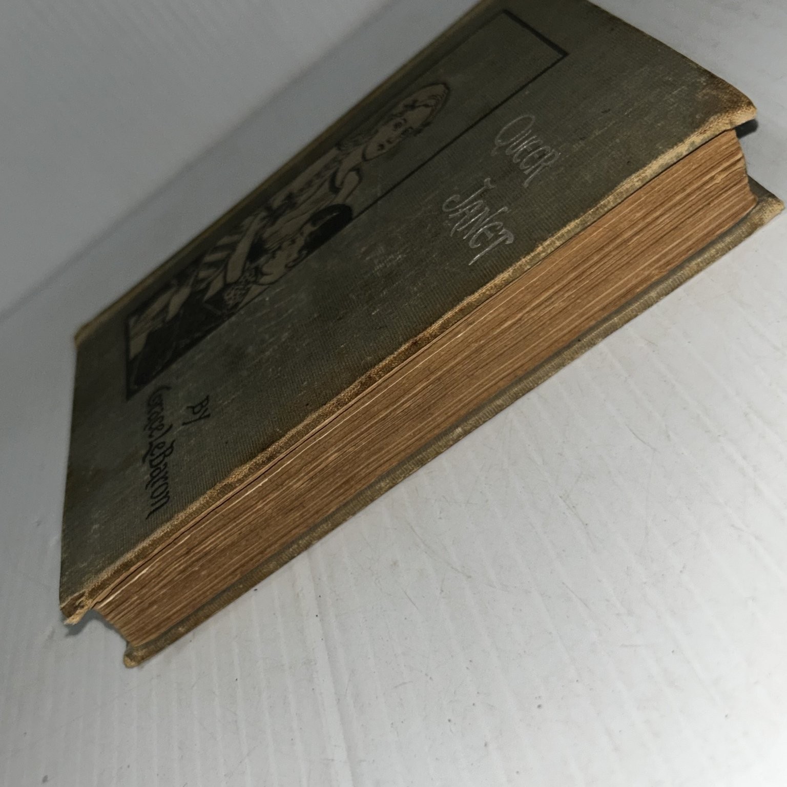 Queer Janet Grace Le Baron 1897 Illustrated Children’s Juvenile Lee & Shepard