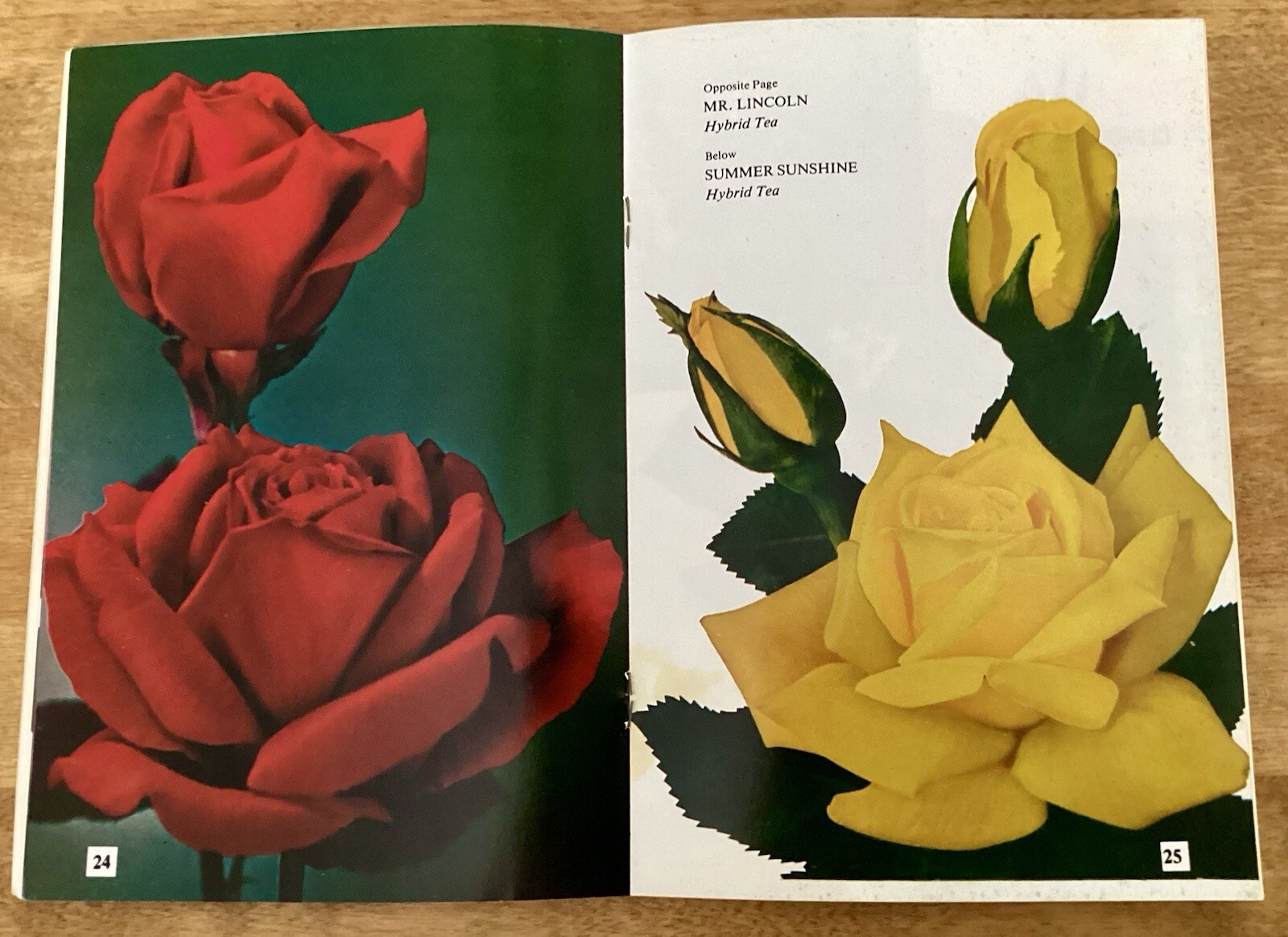 VTG ROSE HANDBOOK, 1977, Ed Fink, Countryside Books