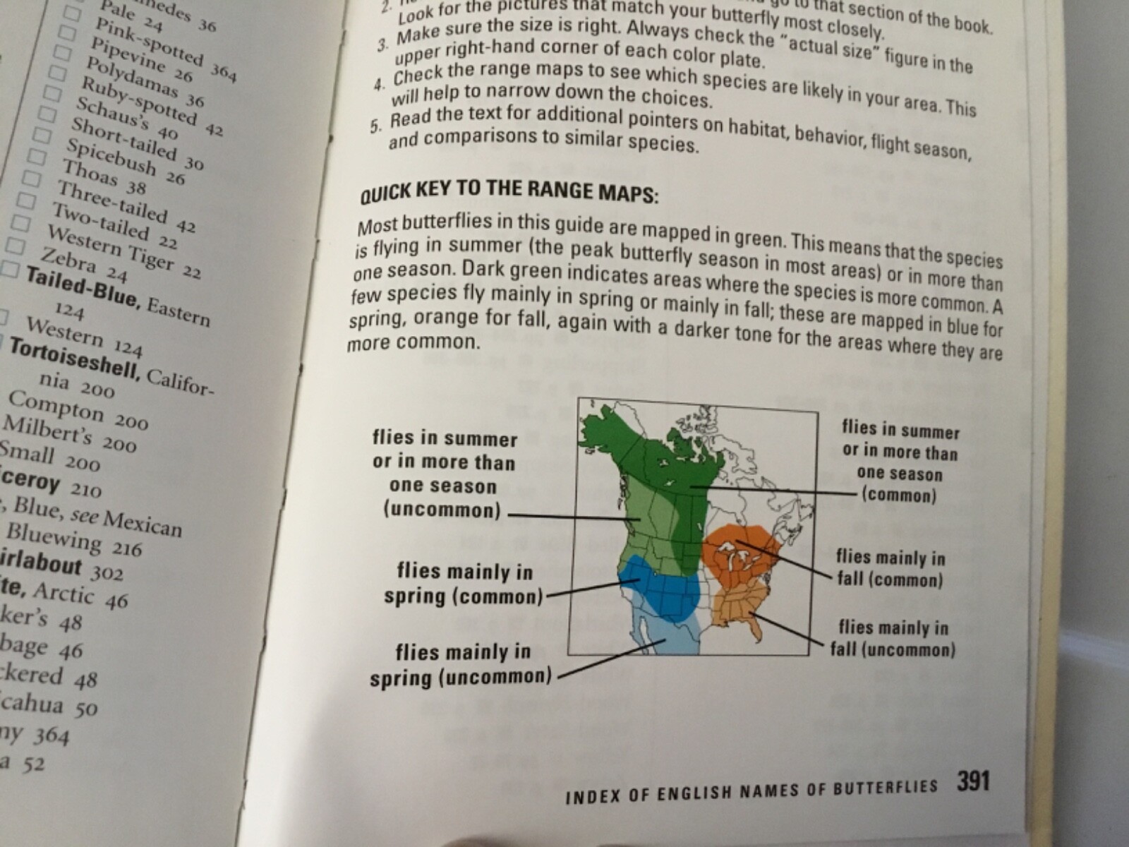 Kaufman Field Guide to Butterflies of North America Kaufman VG Softcover Book