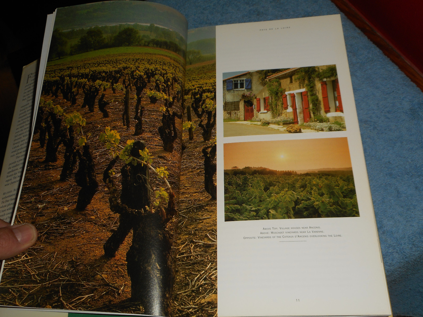 FRENCH VINEYARDS The Complete Guide and Companion by MICHAEL BUSSELLE HC/DJ 1998