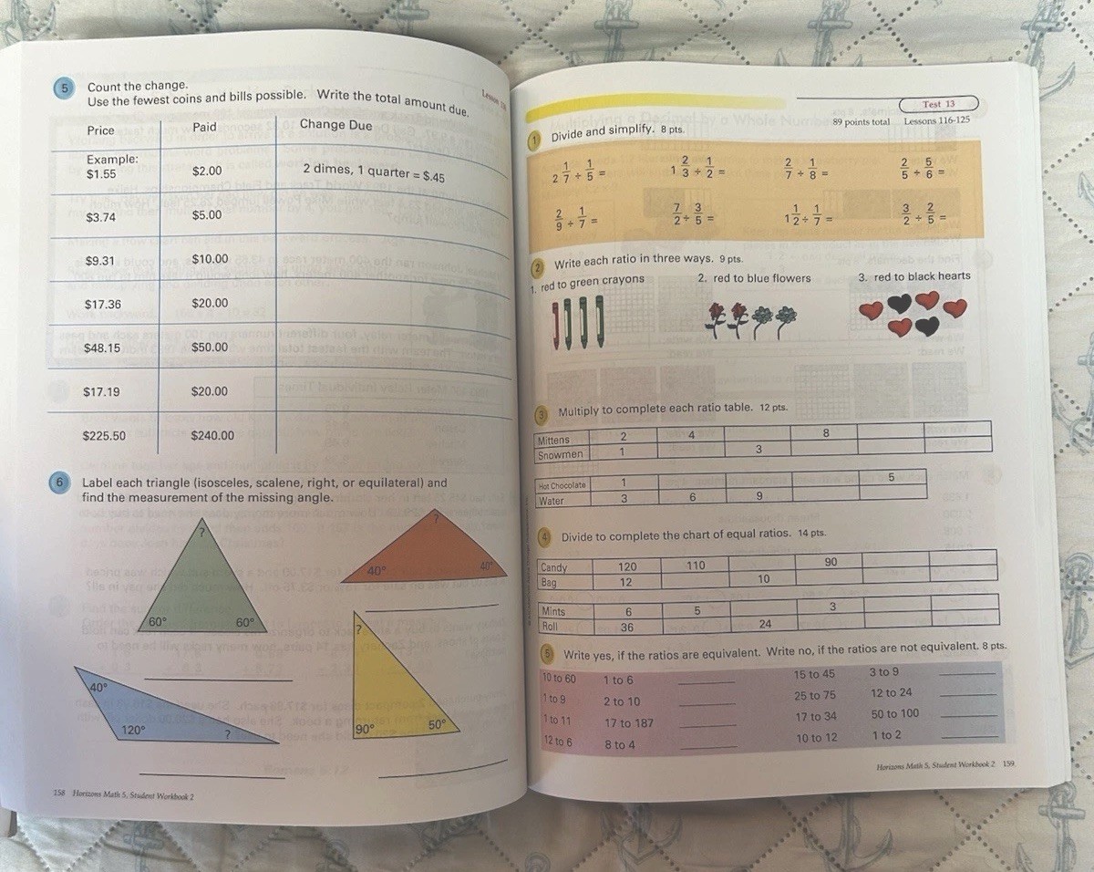 HORIZONS Math 5 Teacher’s Guide-Student Book 1 & 2-Homeschool-EUC-Set-5th Grade