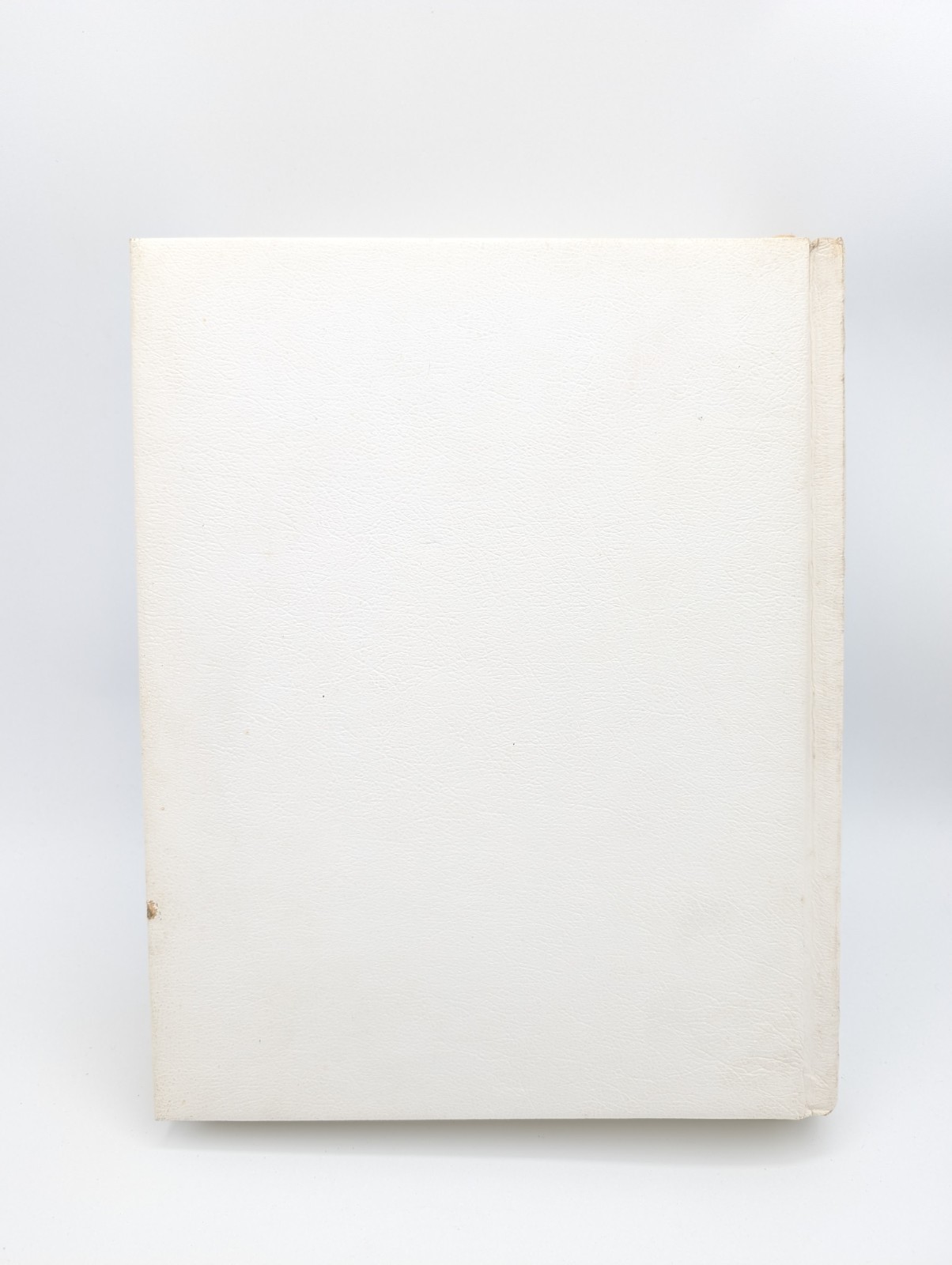 Vintage Large Print Family Holy Bible King James Version KJV White Good Counsel
