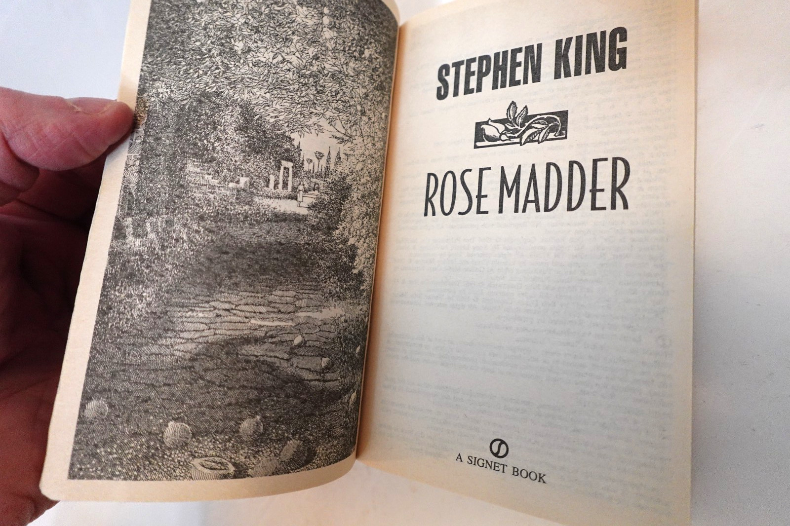 Rose Madder (Stephen King, 1996 Signet) paperback book