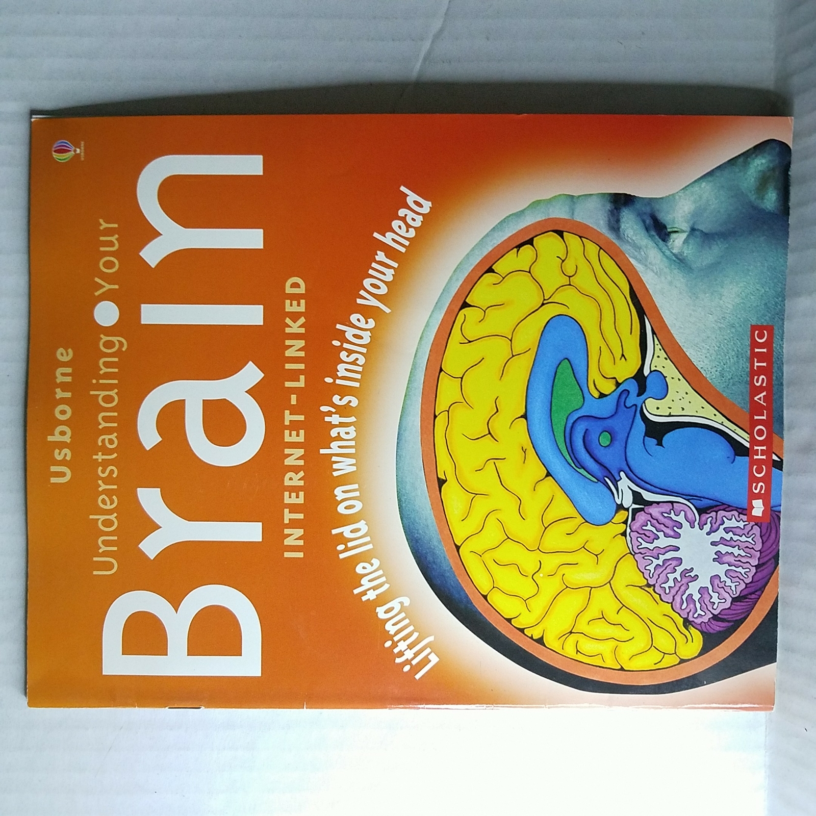 Understanding Your Brain Internet Linked by Rebecca Treays 439798043