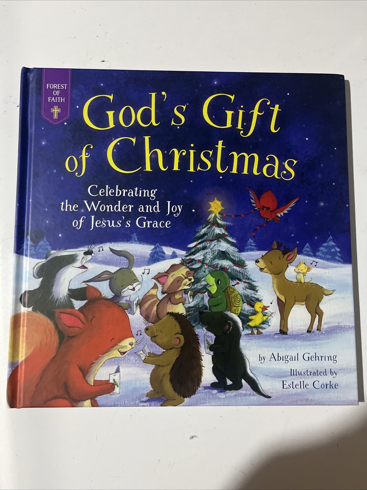 Abigail Gehring God’s Gift of Christ (Hardback)