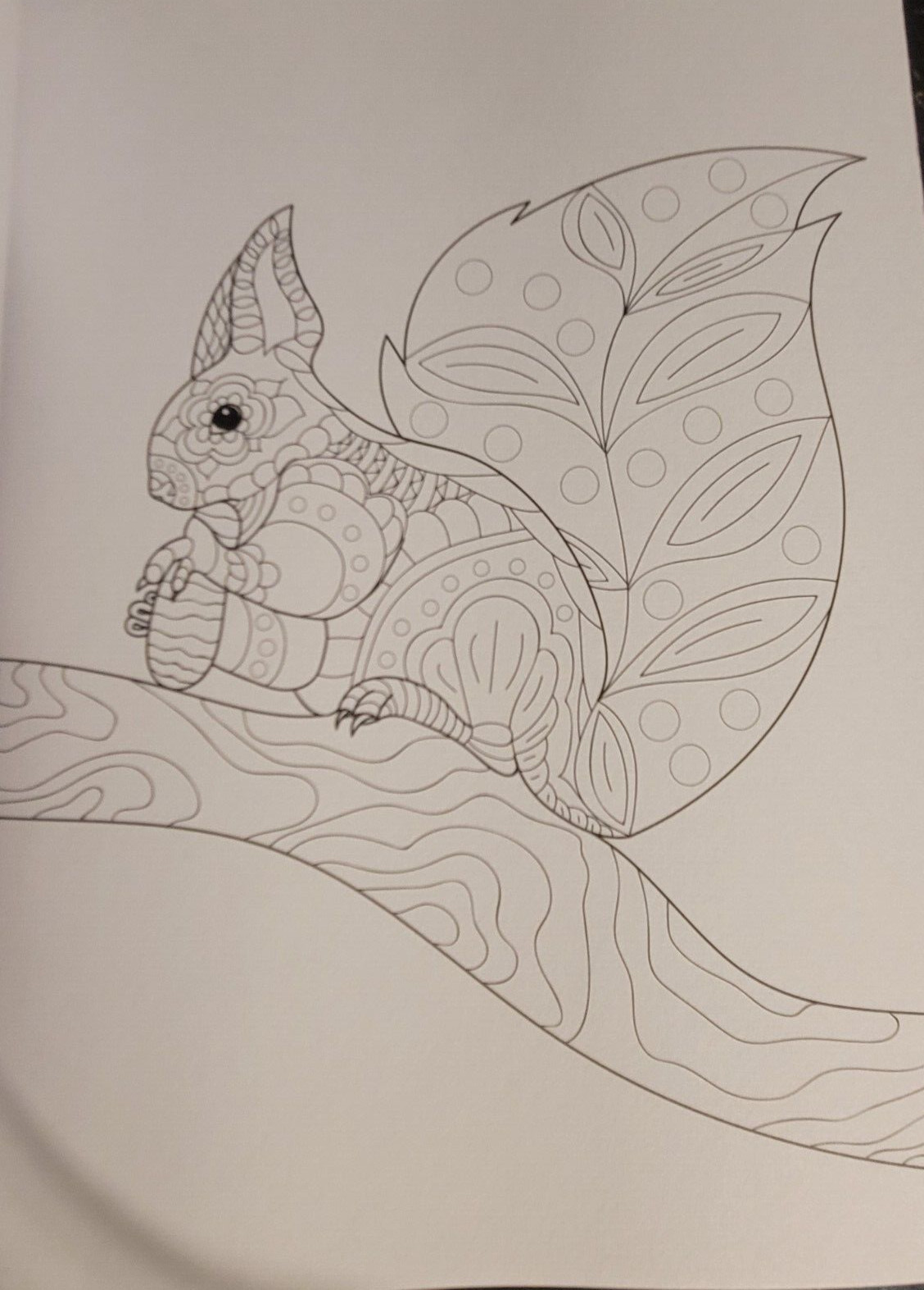 COLORS OF THE WILD Vol. 20 Adult Coloring Book With 47 Prints Ready To Frame!
