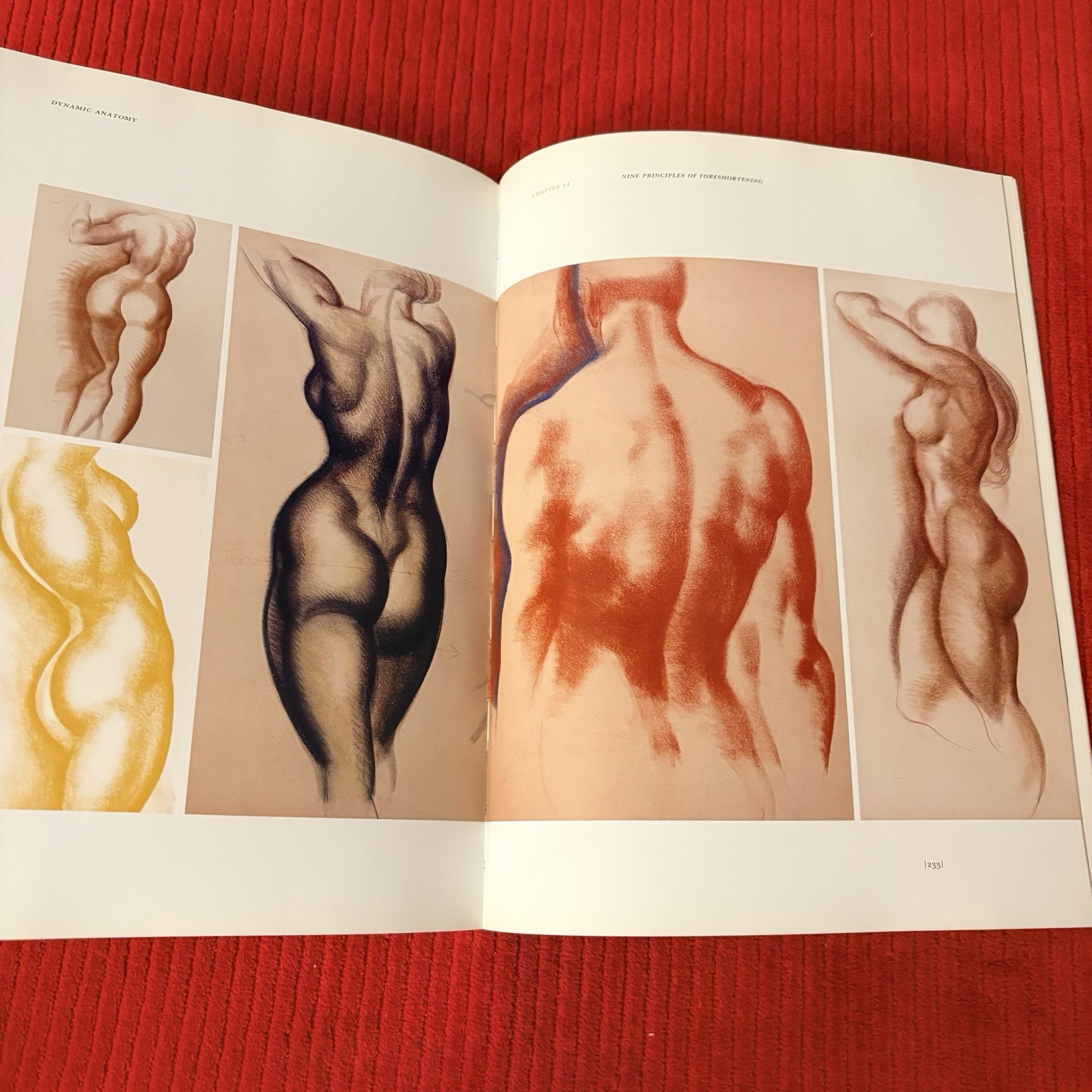 DYNAMIC ANATOMY: REVISED AND EXPANDED by Burne Hogarth—LIKE NEW