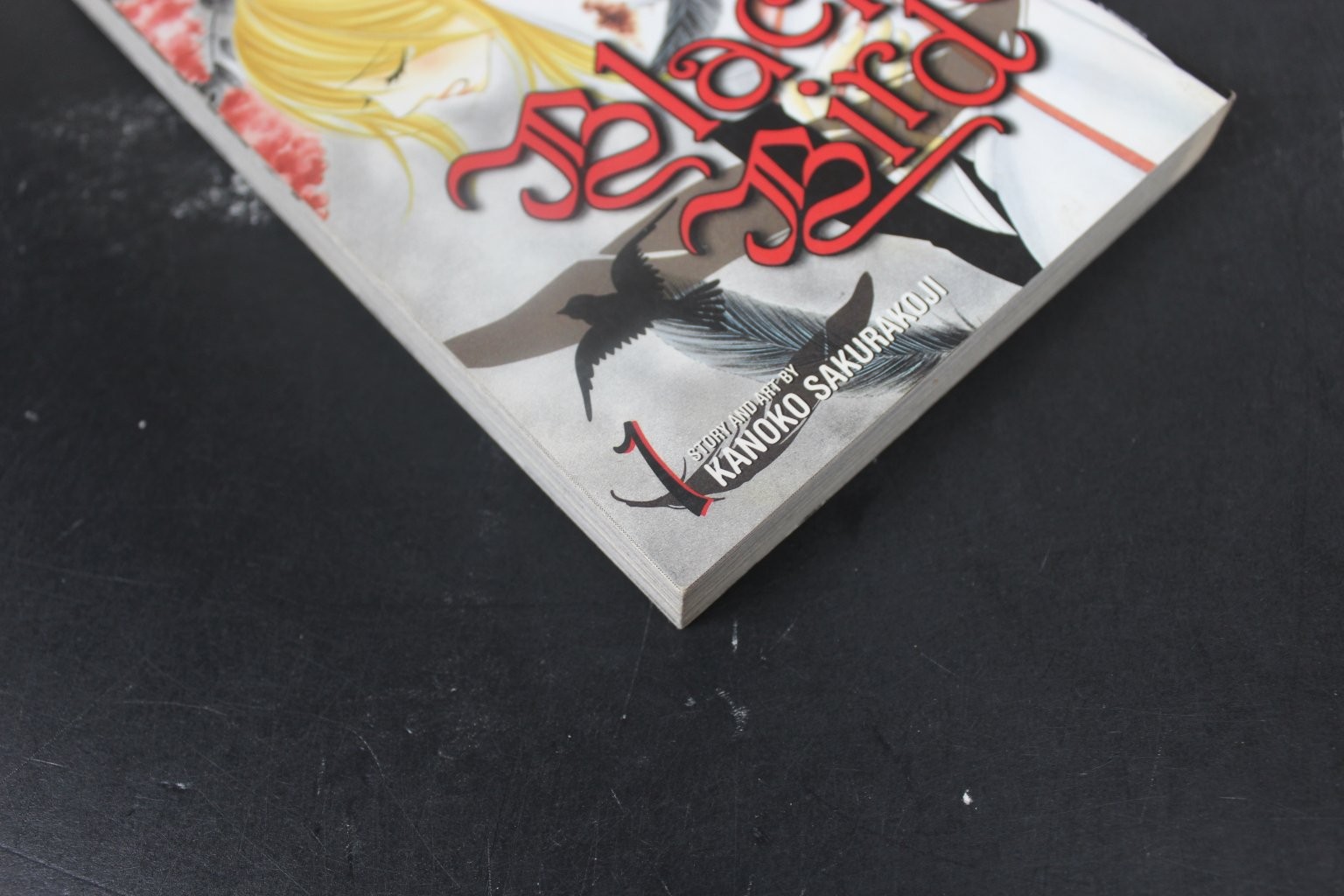 Black Bird, Vol. 1 Kanoko Sakurakoji 2010 Shojo Manga Supernatural VIZ Media VG